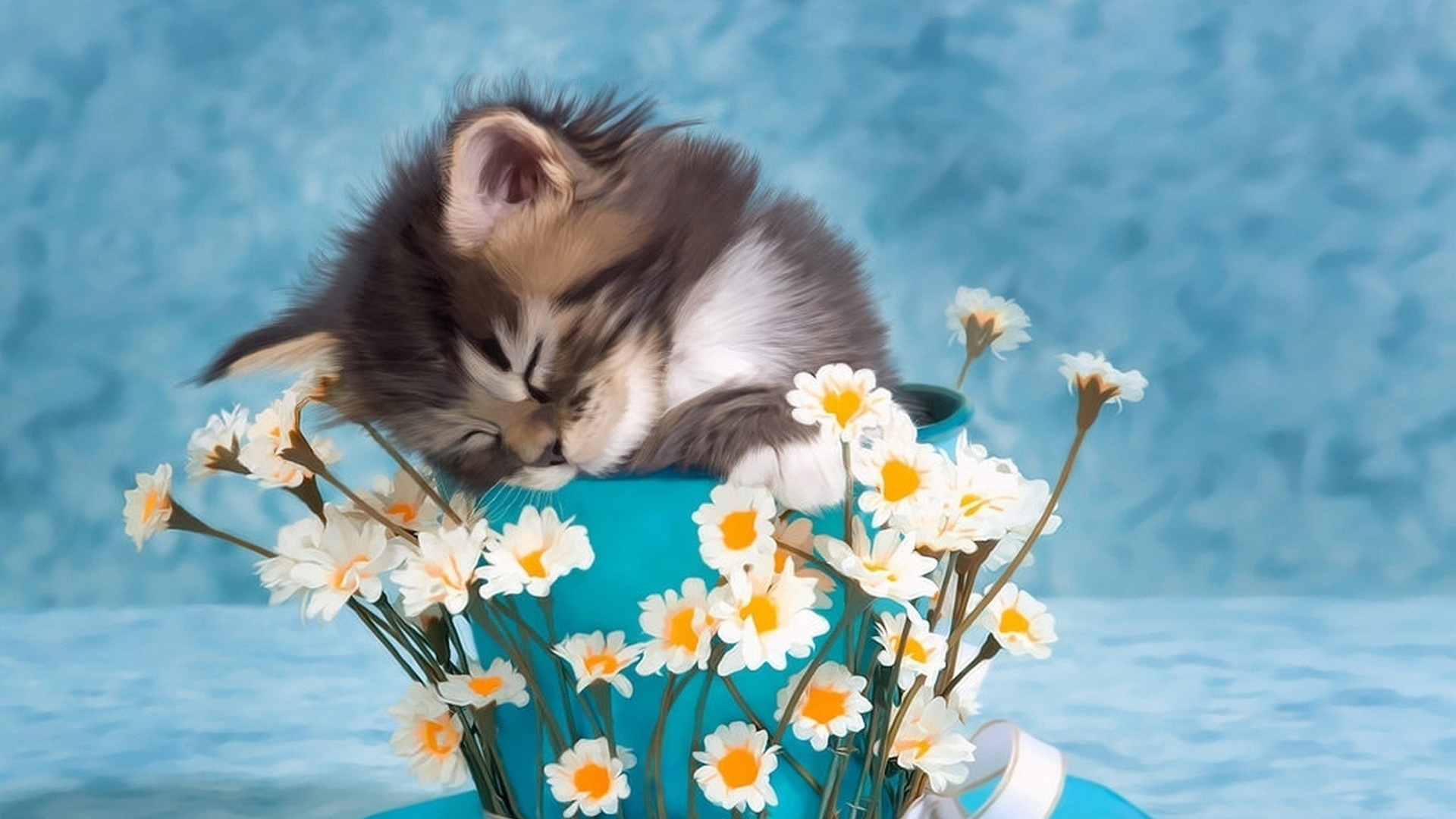 小猫，杯子，鲜花，可爱写真，桌面高清壁纸