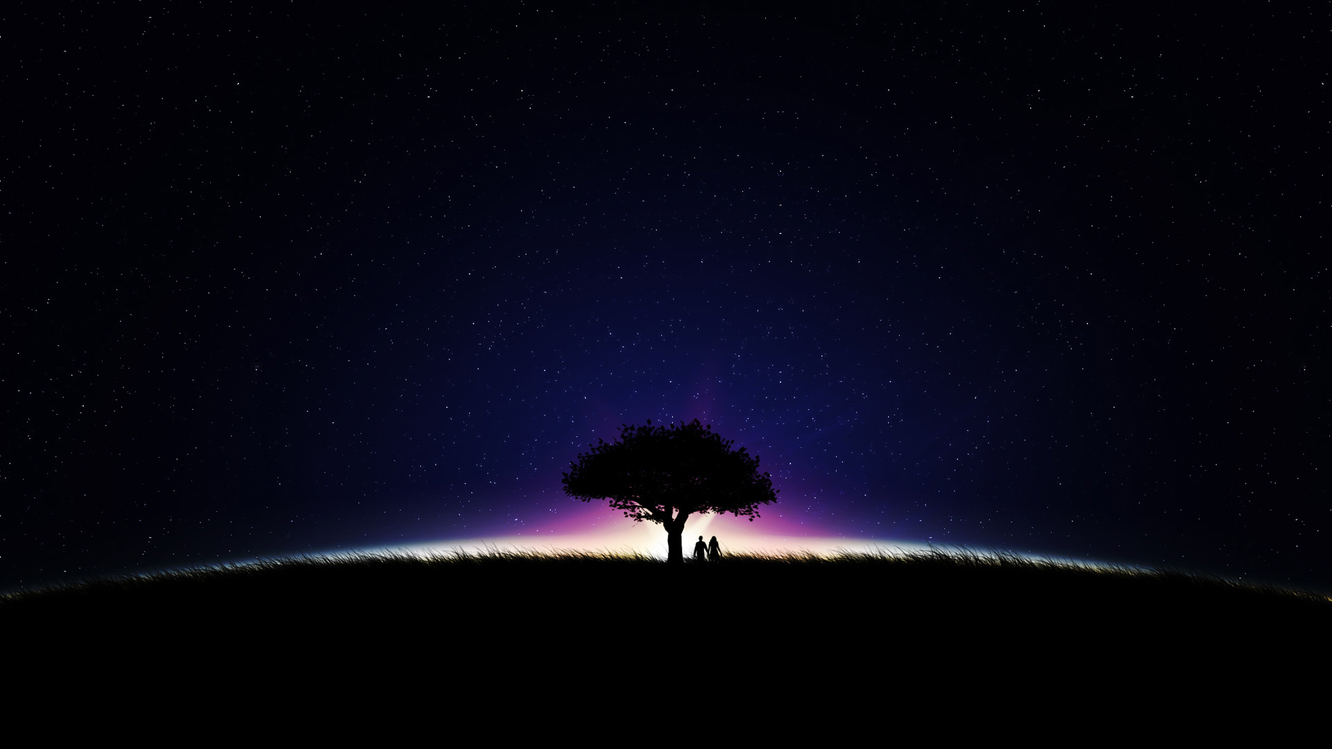 夜晚,天空,星星,树木,牵手情侣桌面高清壁纸