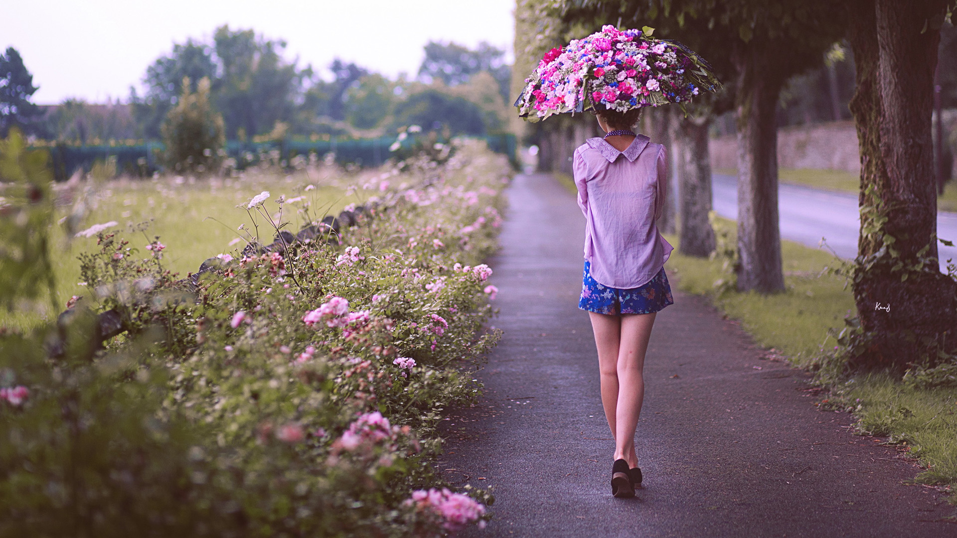 树木,街道,女孩背影,鲜花,伞,唯美桌面高清壁纸