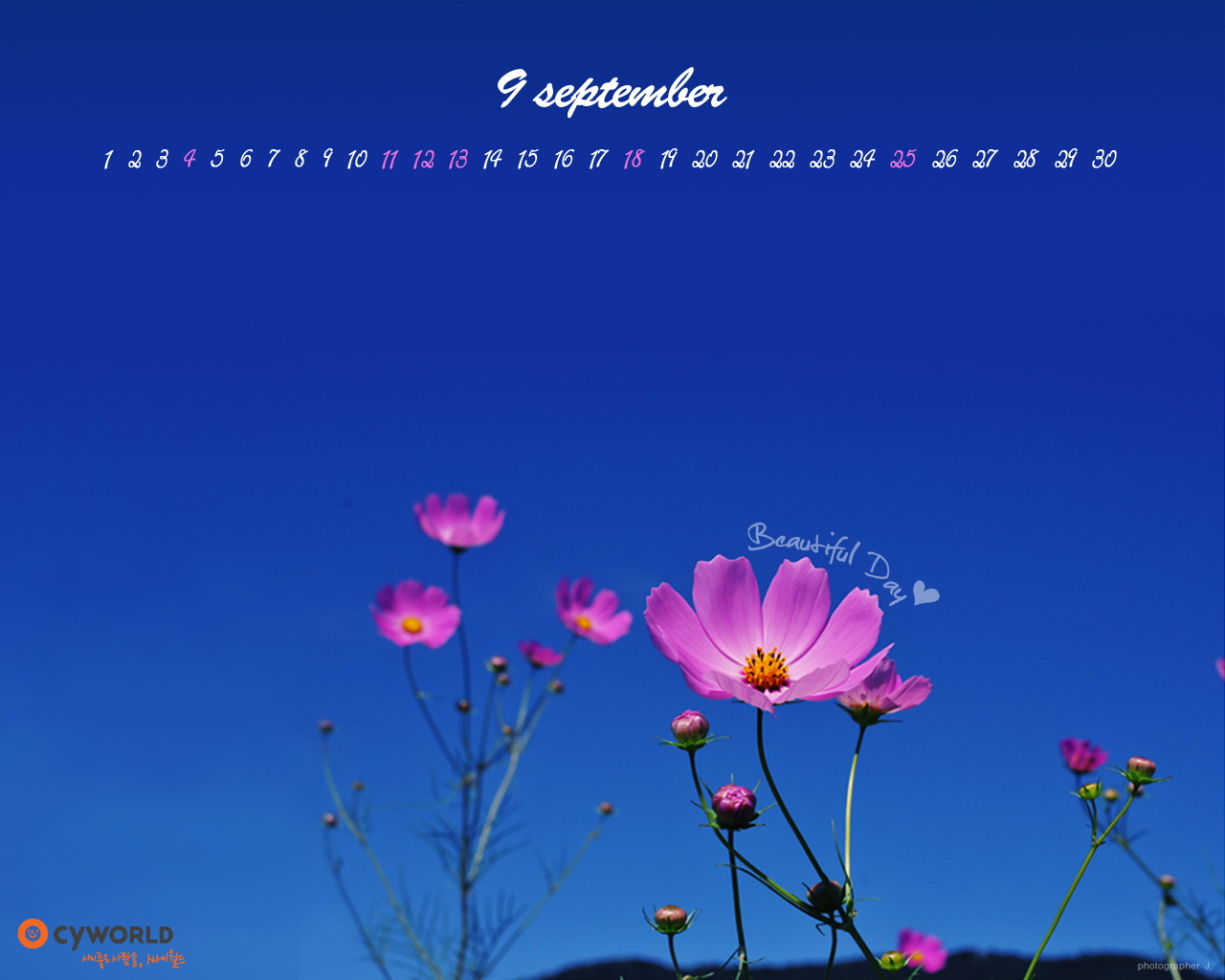 韩国cyworld2011年9月高清壁纸