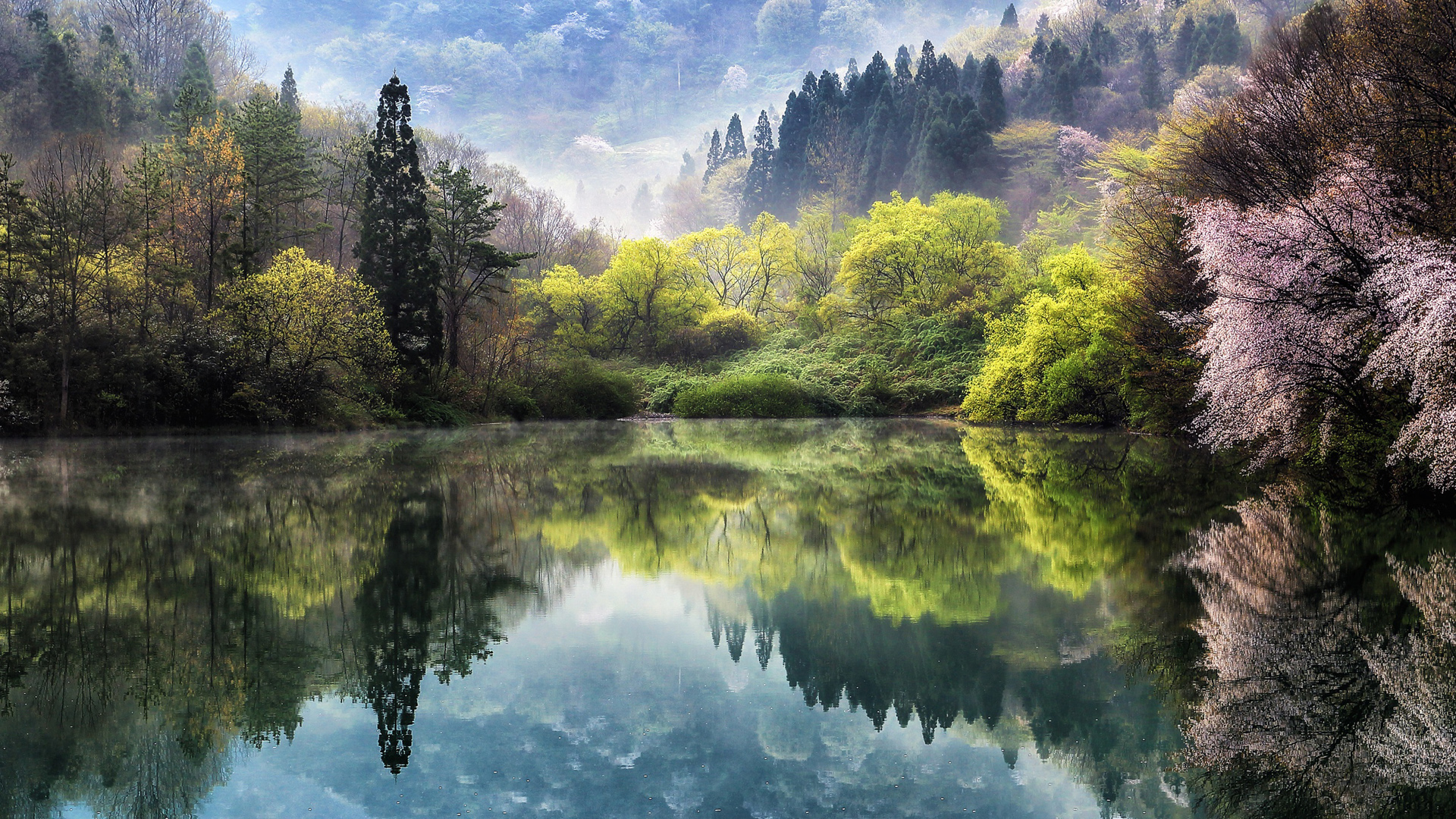 自然 湖 泉水 树林 樱花 风景桌面高清壁纸