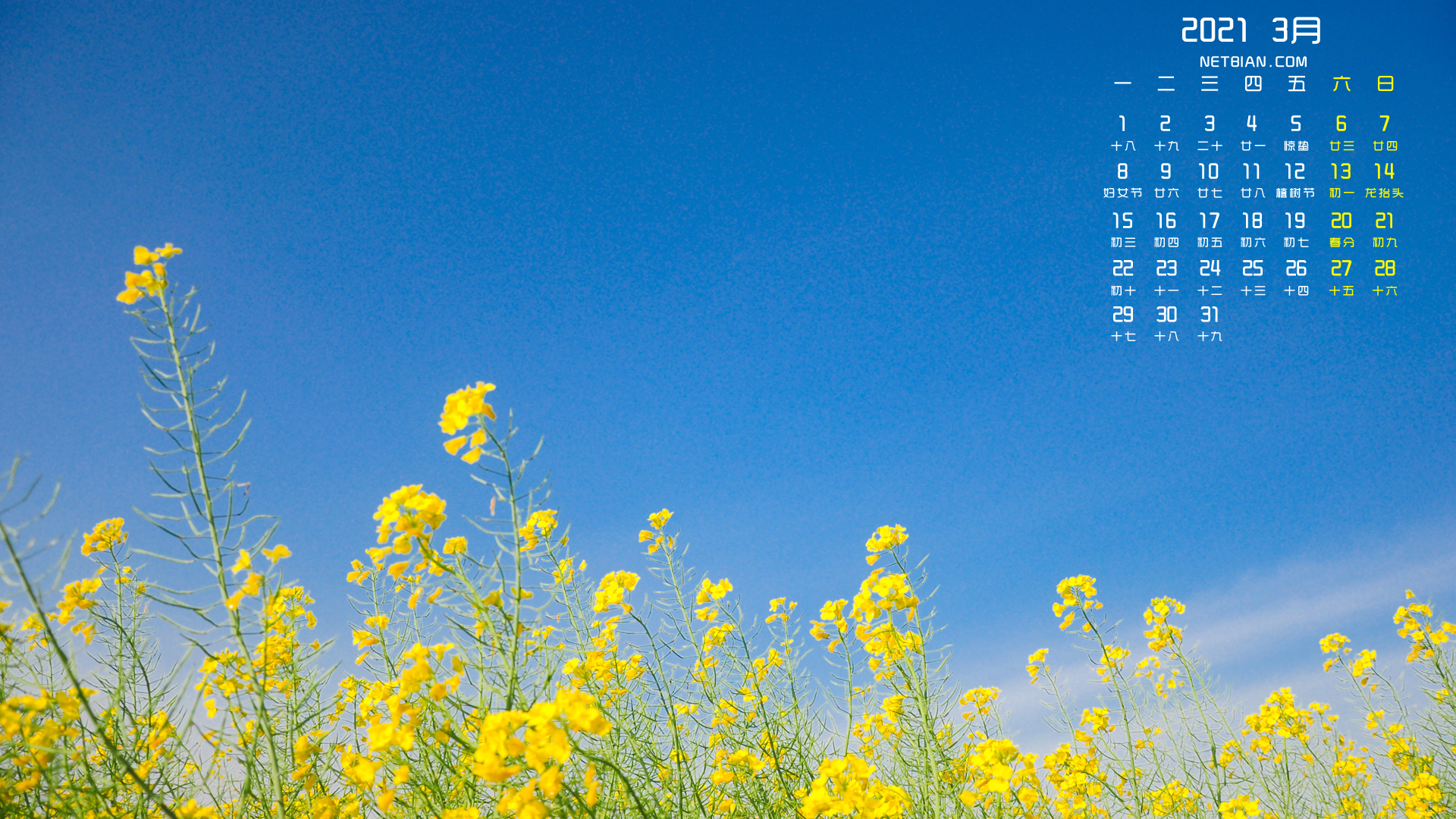 油菜花2021年3月风景日历桌面高清壁纸