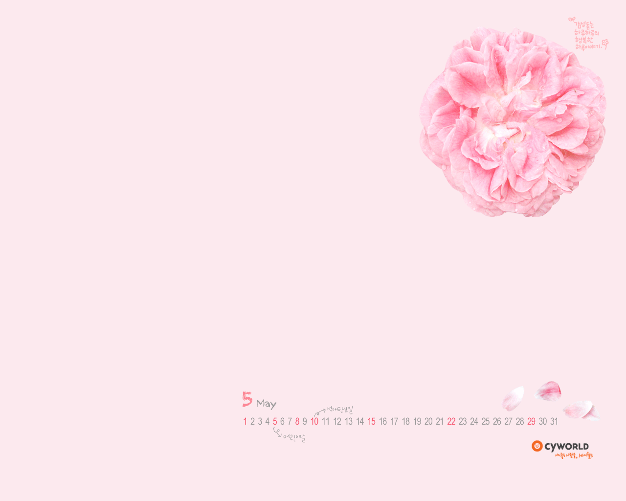 cyworld 2011年5月桌面背景