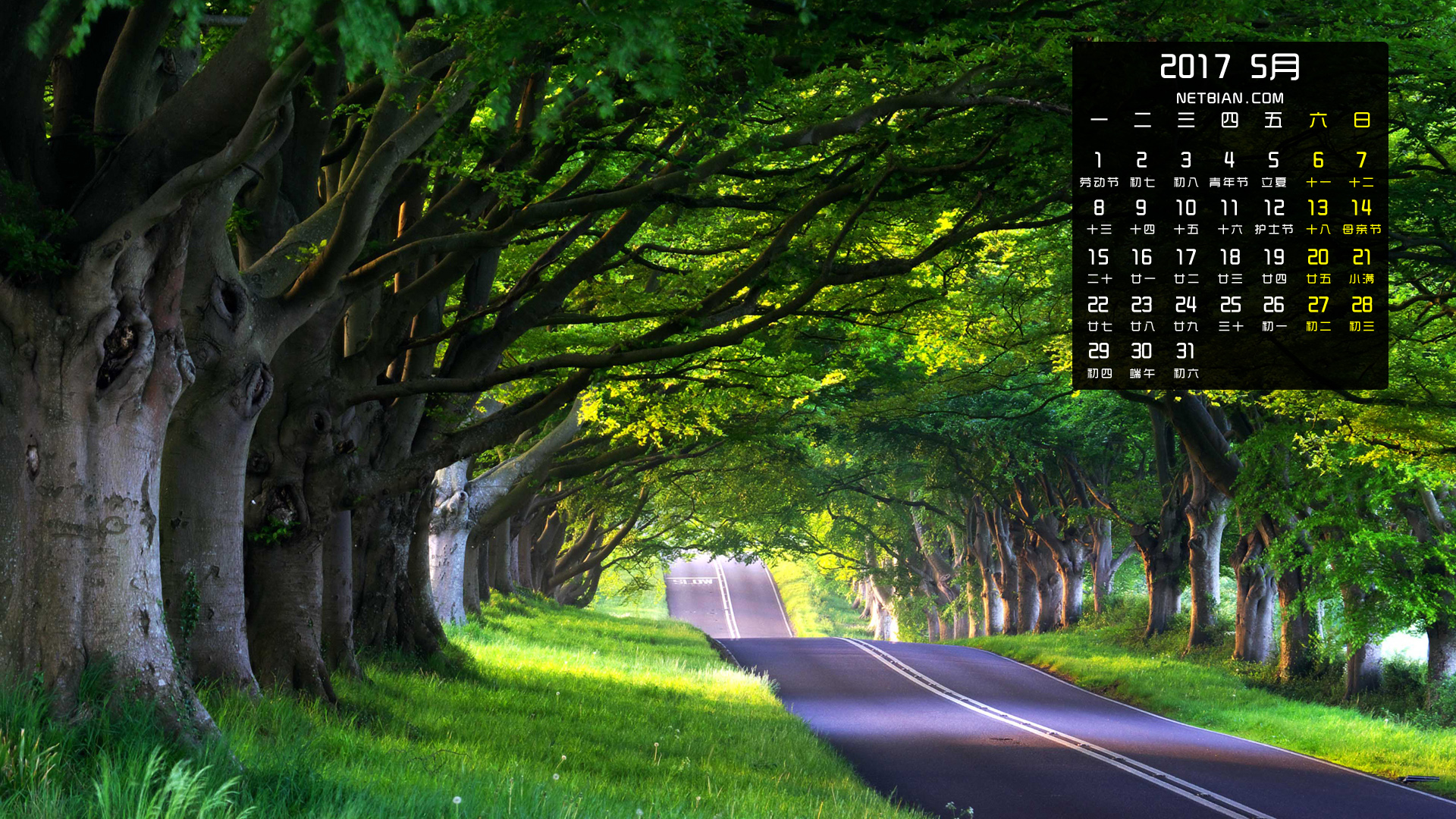 森林车道风景2017年5月日历桌面高清壁纸