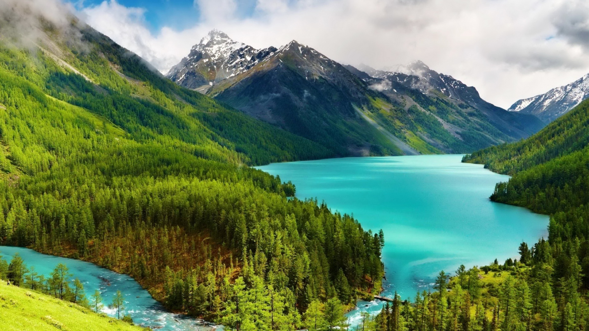 湖泊,森林,山,树林,风景高清壁纸
