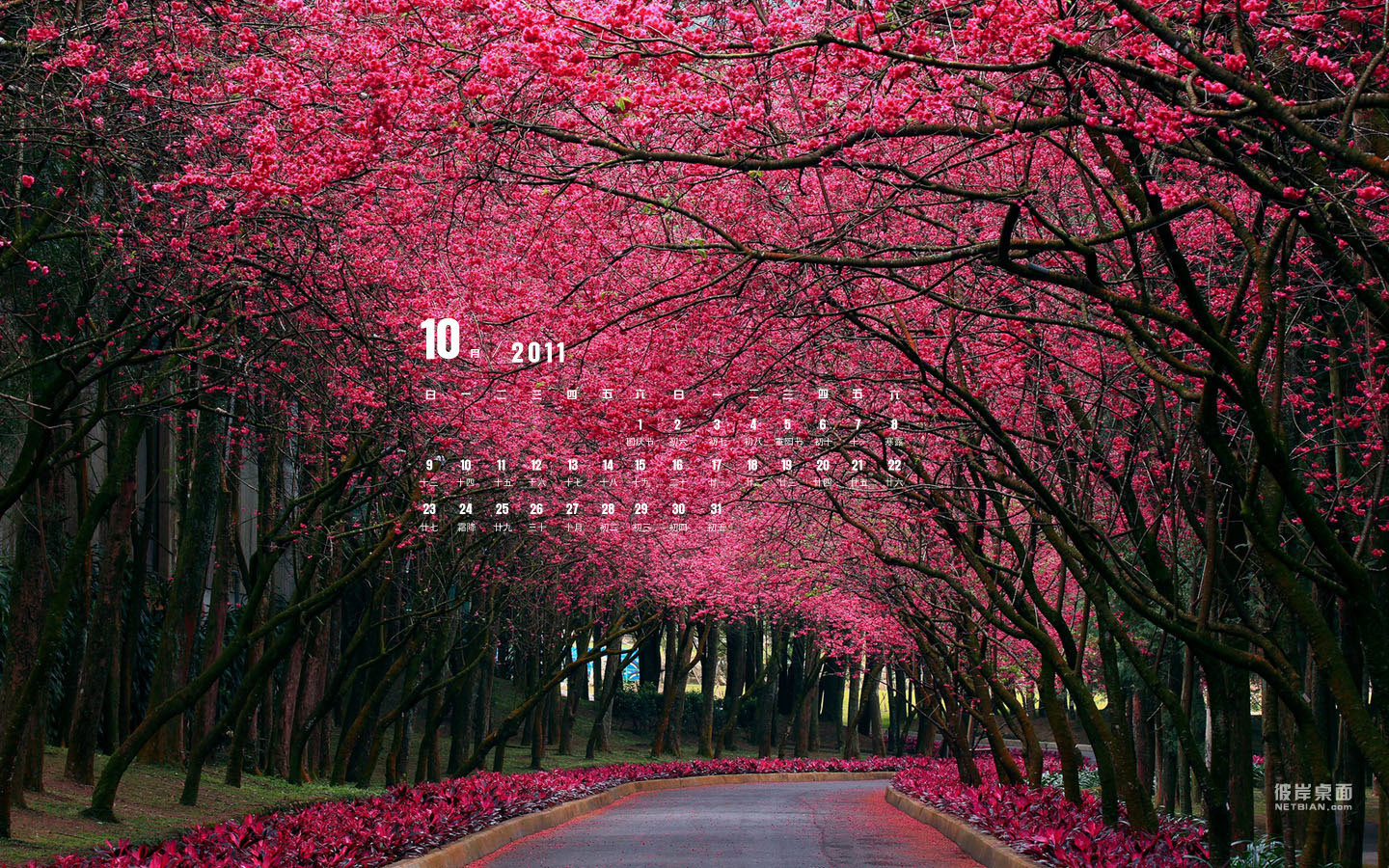 2011年10月风景日历桌面高清壁纸