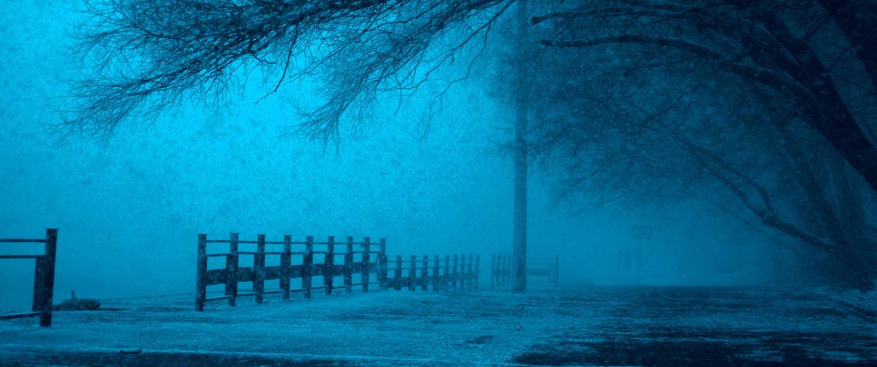 冬季雪树栅栏莫斯科风景带鱼屏高清壁纸