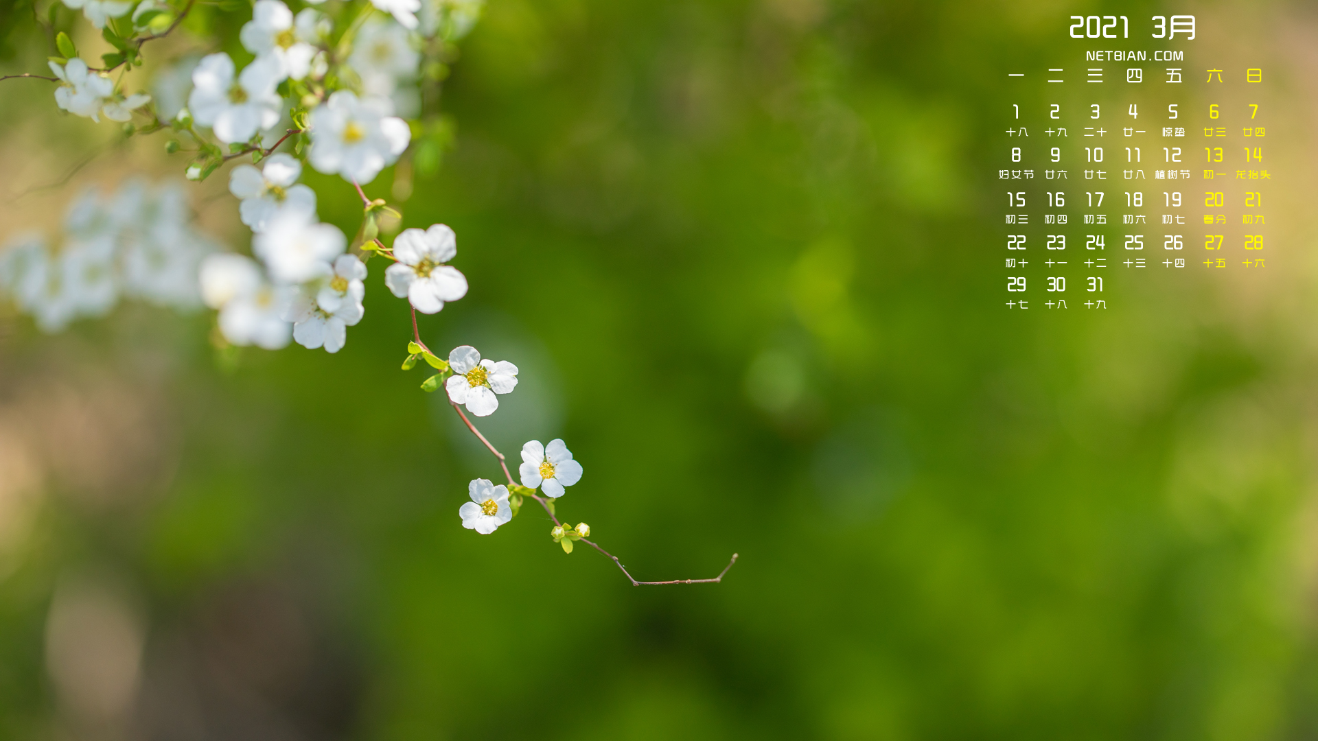 春天的花儿2021年3月日历桌面高清壁纸护眼