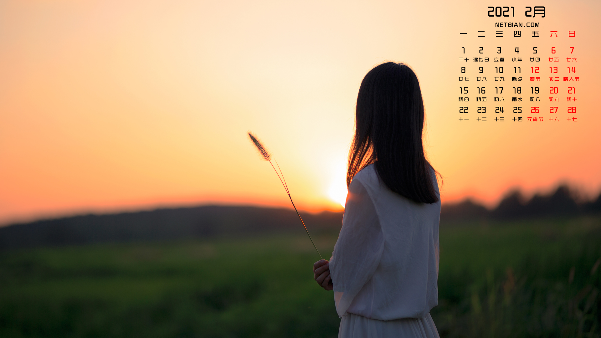 夕阳下女孩背影2021年2月日历桌面高清壁纸