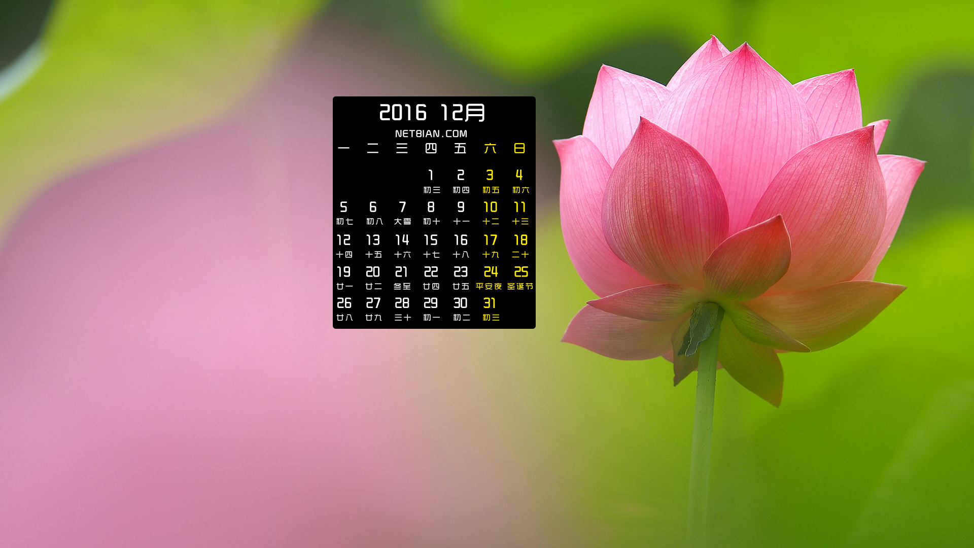 莲花2016年12月日历桌面高清壁纸