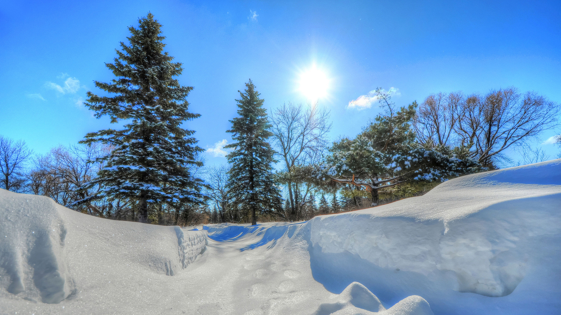 天空，太阳，冬季，树木，雪，风景桌面高清壁纸