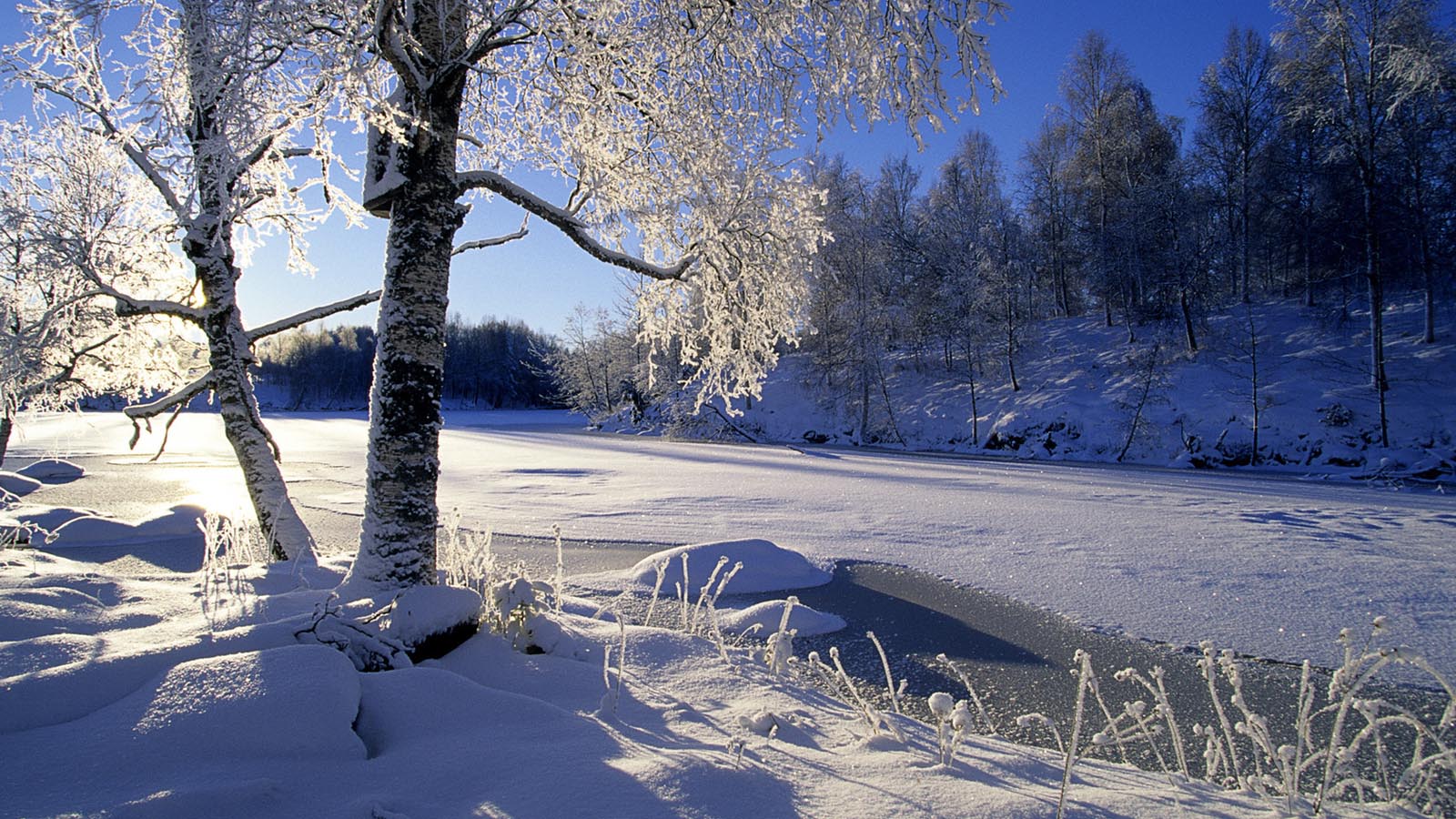 冬雪桌面背景