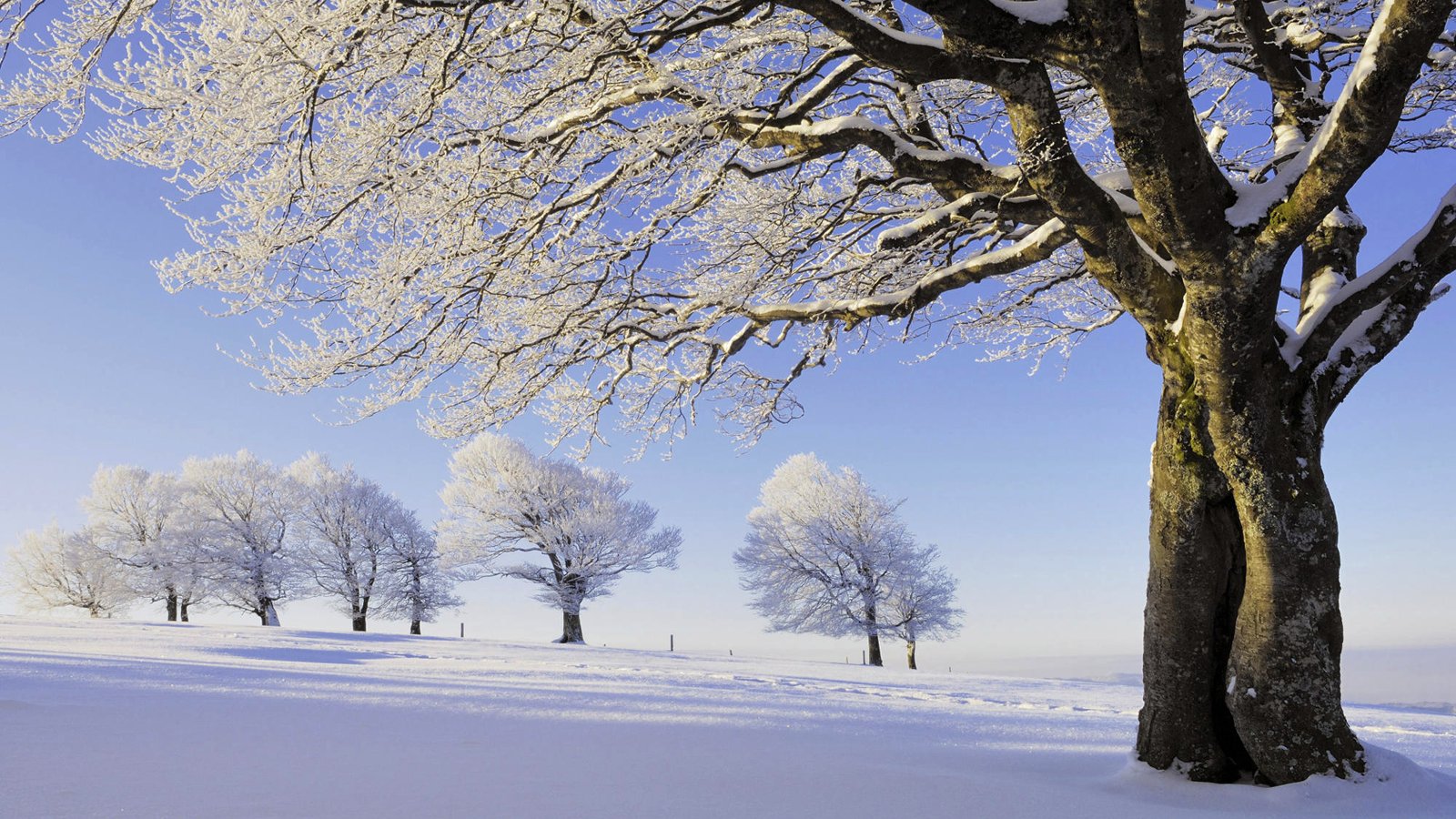 德国黑森林雪风景桌面高清壁纸