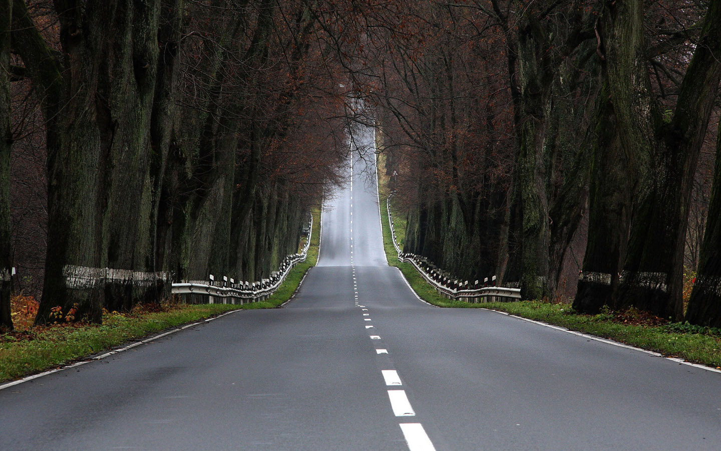 乡村公路风景高清壁纸