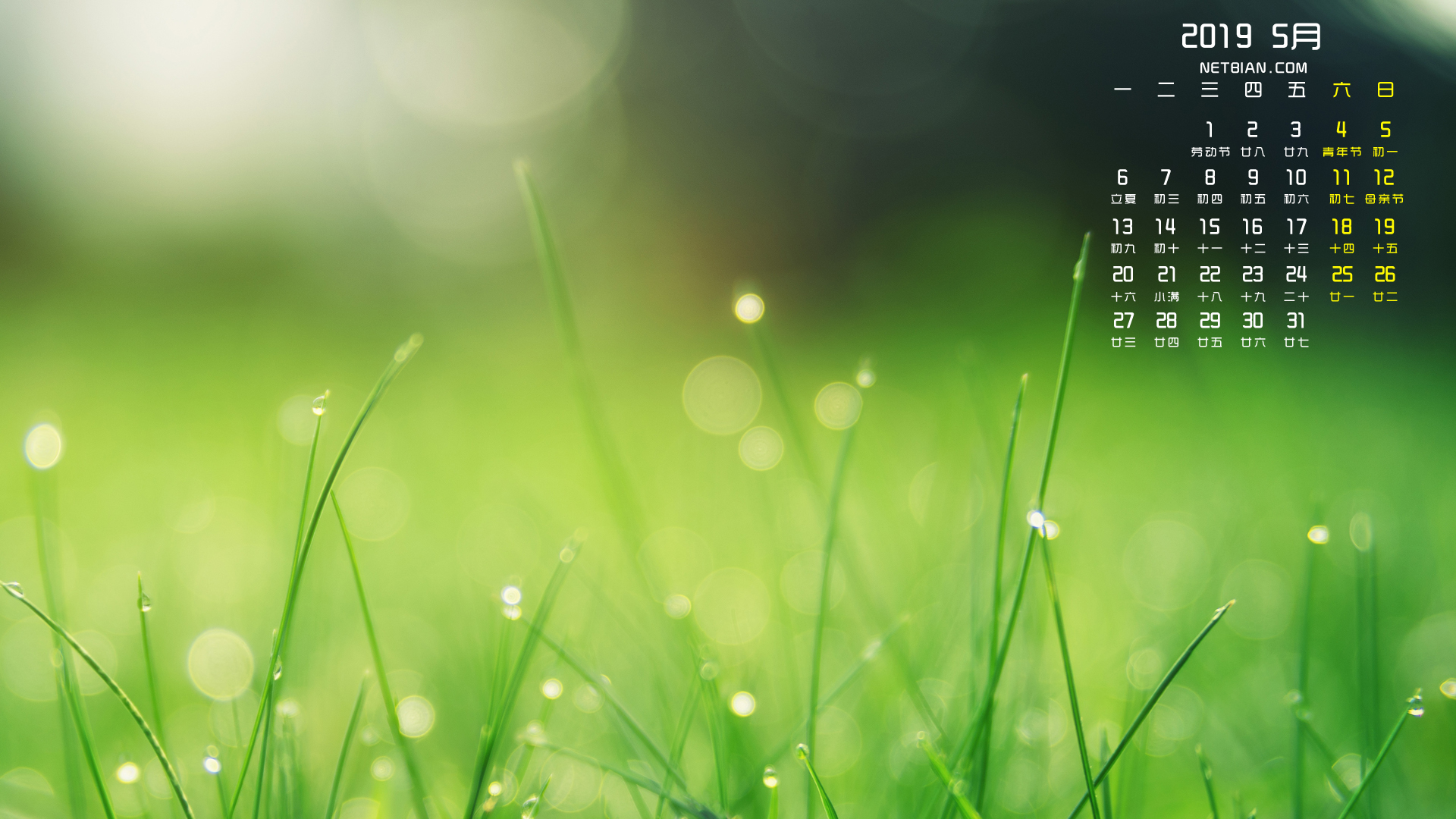 绿色草地2019年5月日历桌面高清壁纸护眼