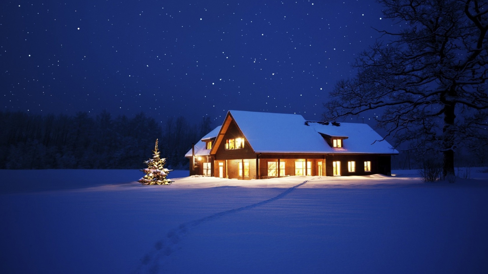 冬季林中小屋夜景桌面高清壁纸