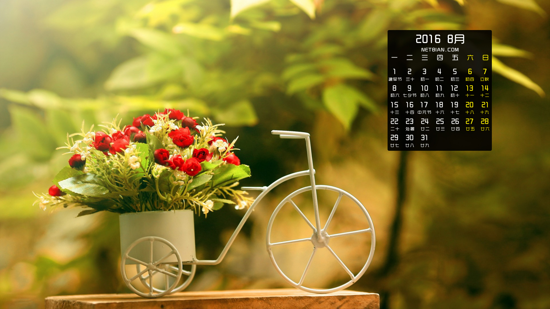 玫瑰花单车2016年8月日历桌面高清壁纸