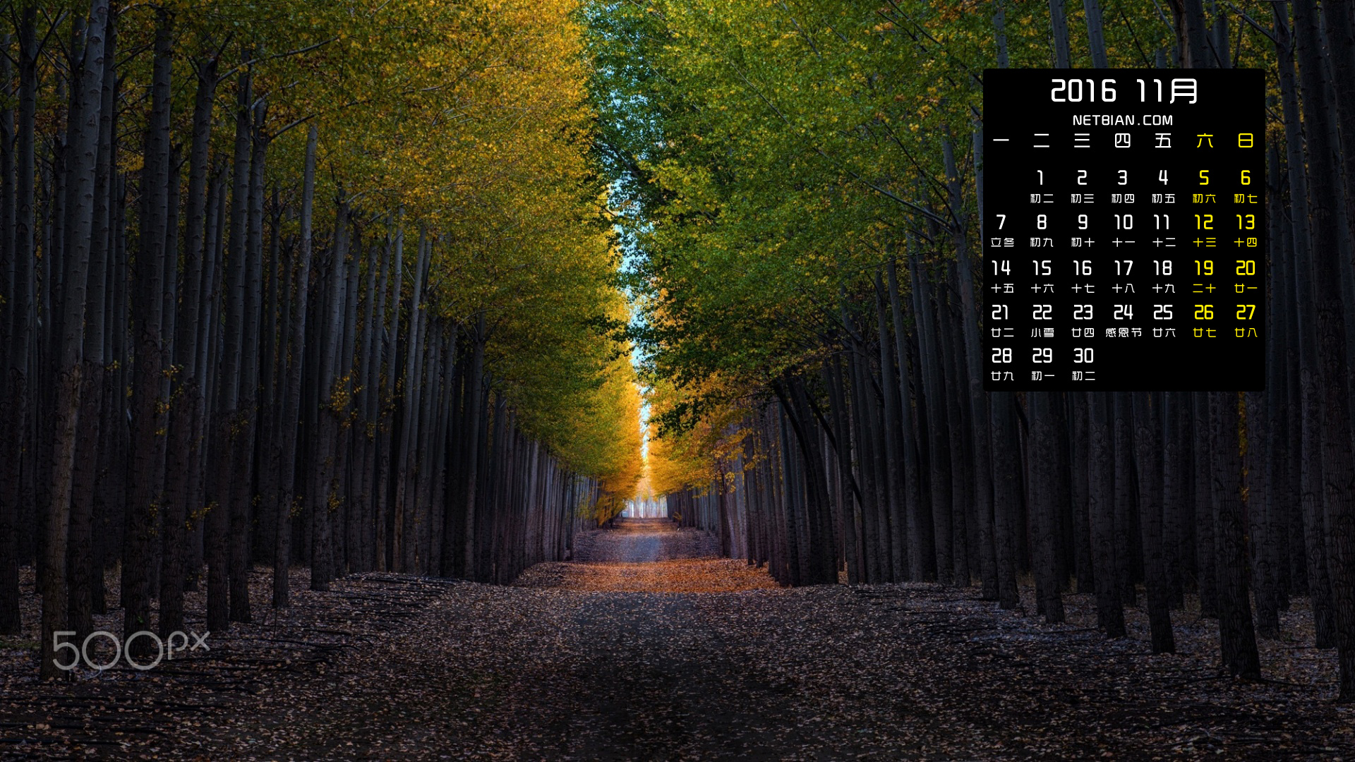 秋天树木道路路摄影风景2016年11月日历桌面高清壁纸
