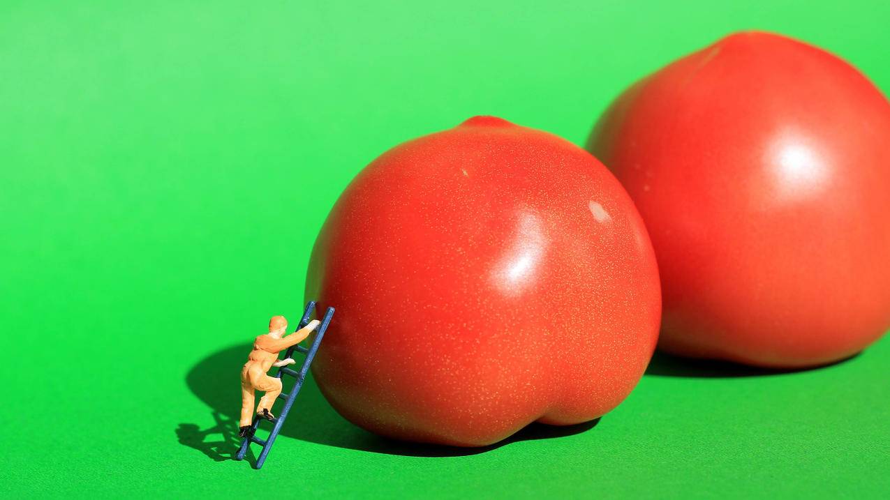 两颗西红柿玩偶5k高清壁纸