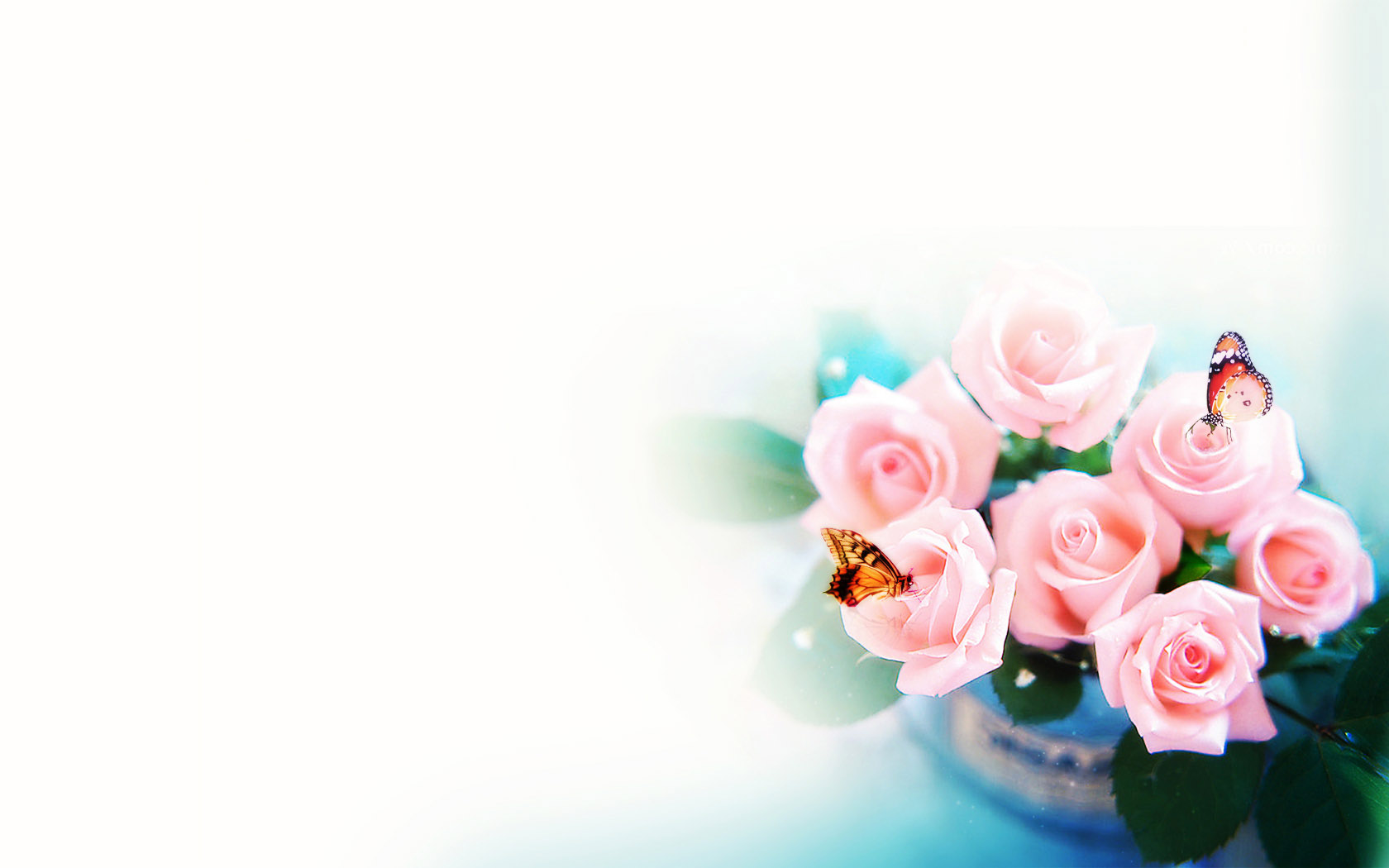 清香的花朵桌面高清壁纸