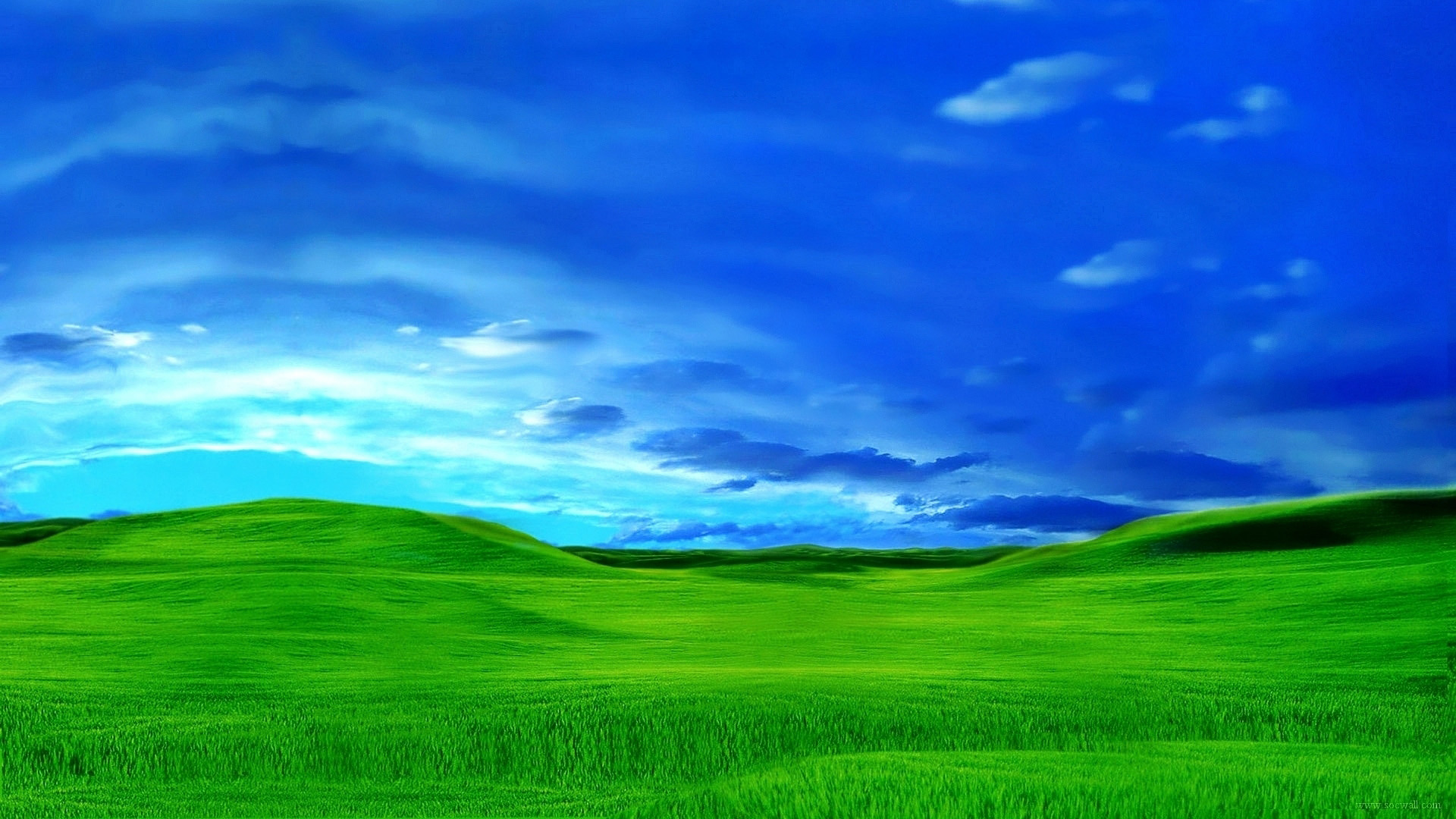 清新的风格 Windows XP 桌面高清壁纸