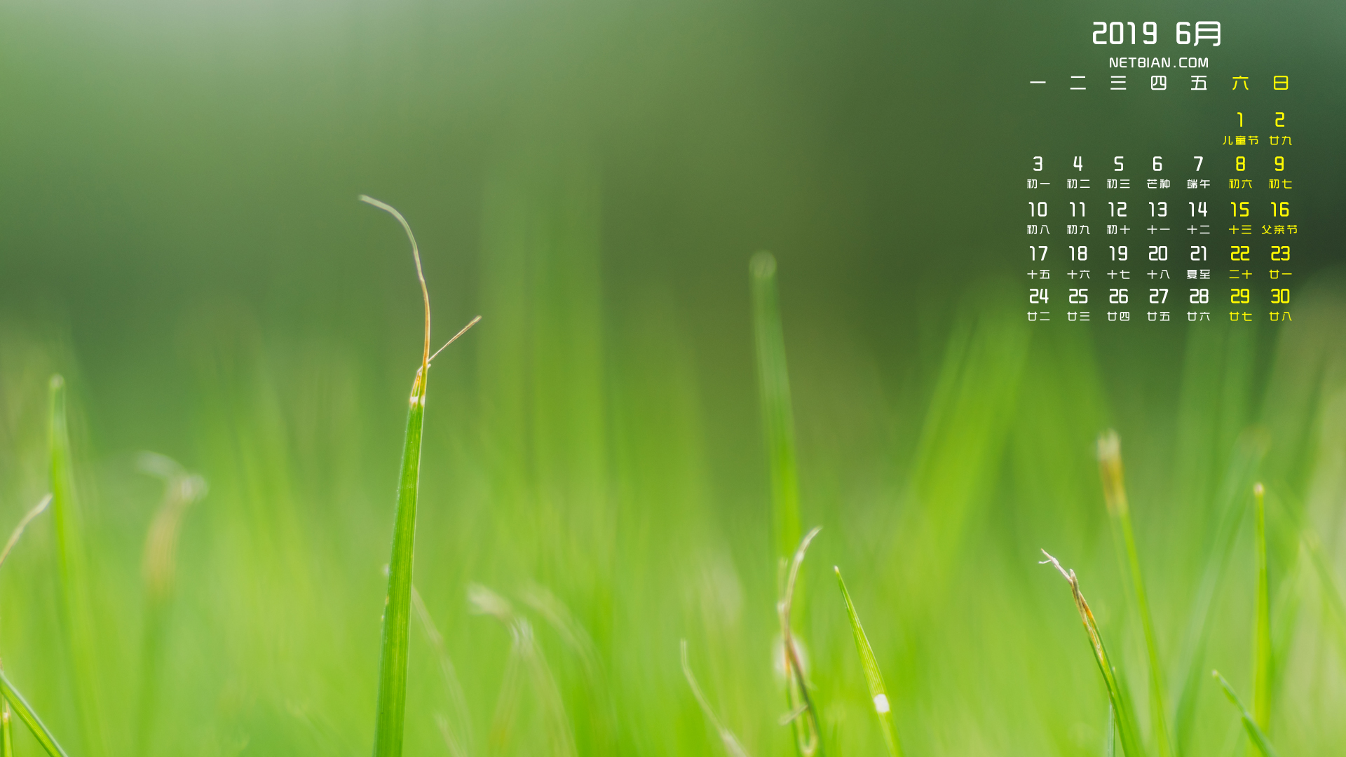 绿叶草地护眼2019年6月日历桌面高清壁纸