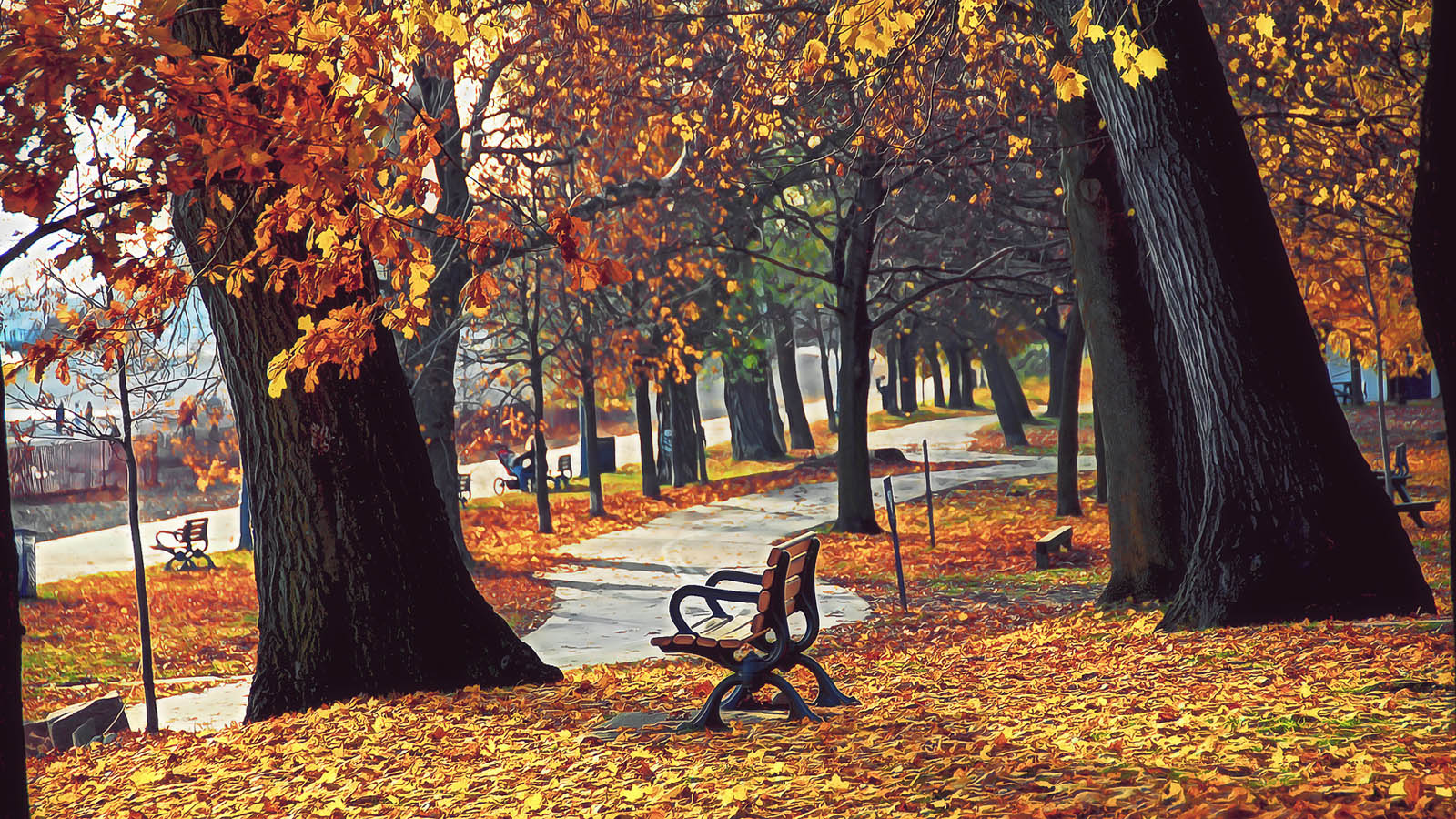 秋天2011年10月风景高清壁纸
