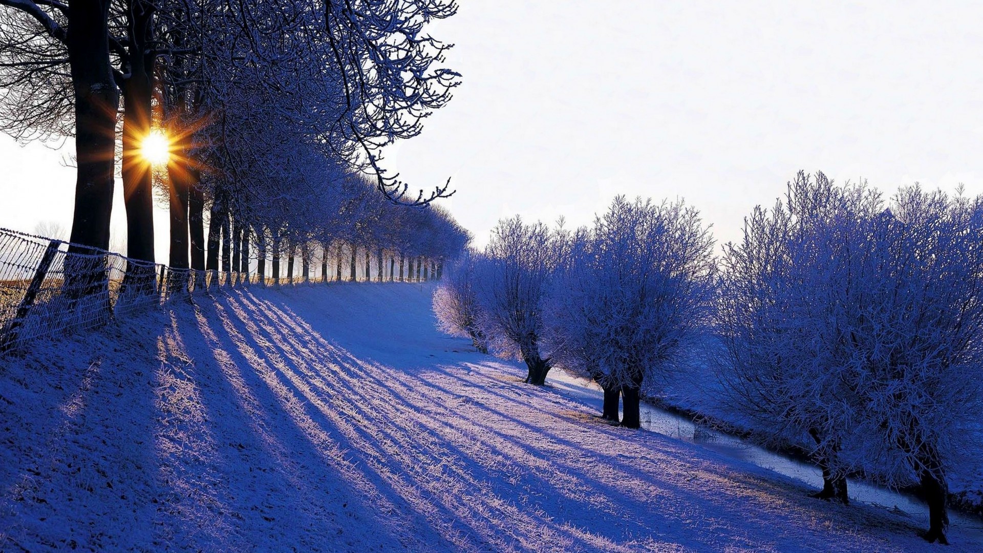 自然,冬天,山,雪,树林,阳光,天空,美丽的雪景桌面高清壁纸
