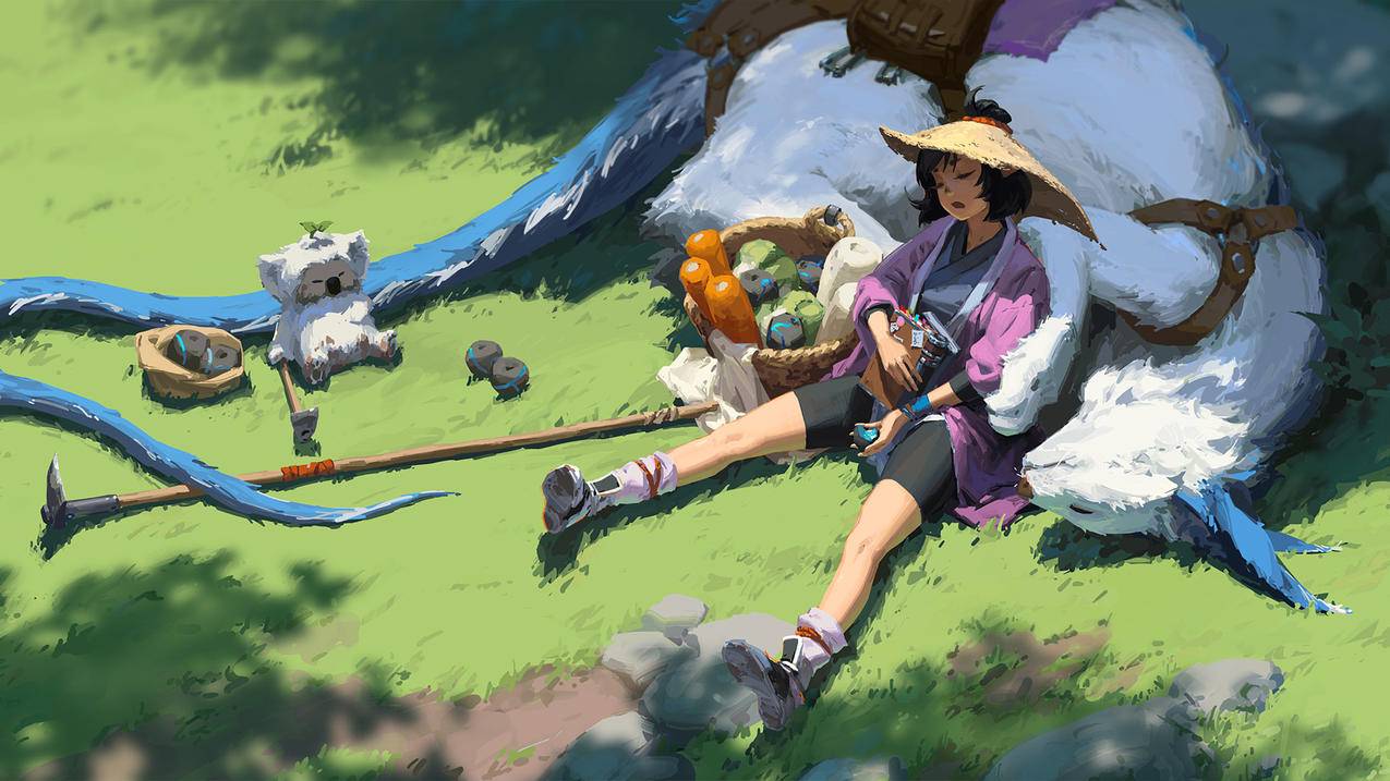 绿荫 草地 阳光 女孩 兽 蔬果 4K 精选 高清壁纸