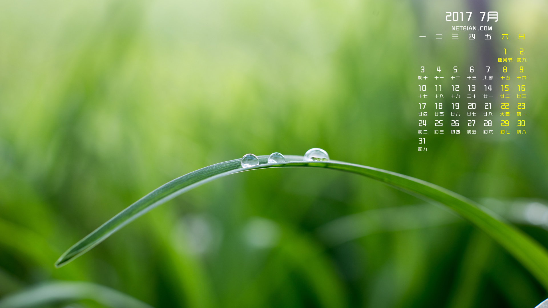 绿色植物水滴2017年7月护眼日历桌面高清壁纸