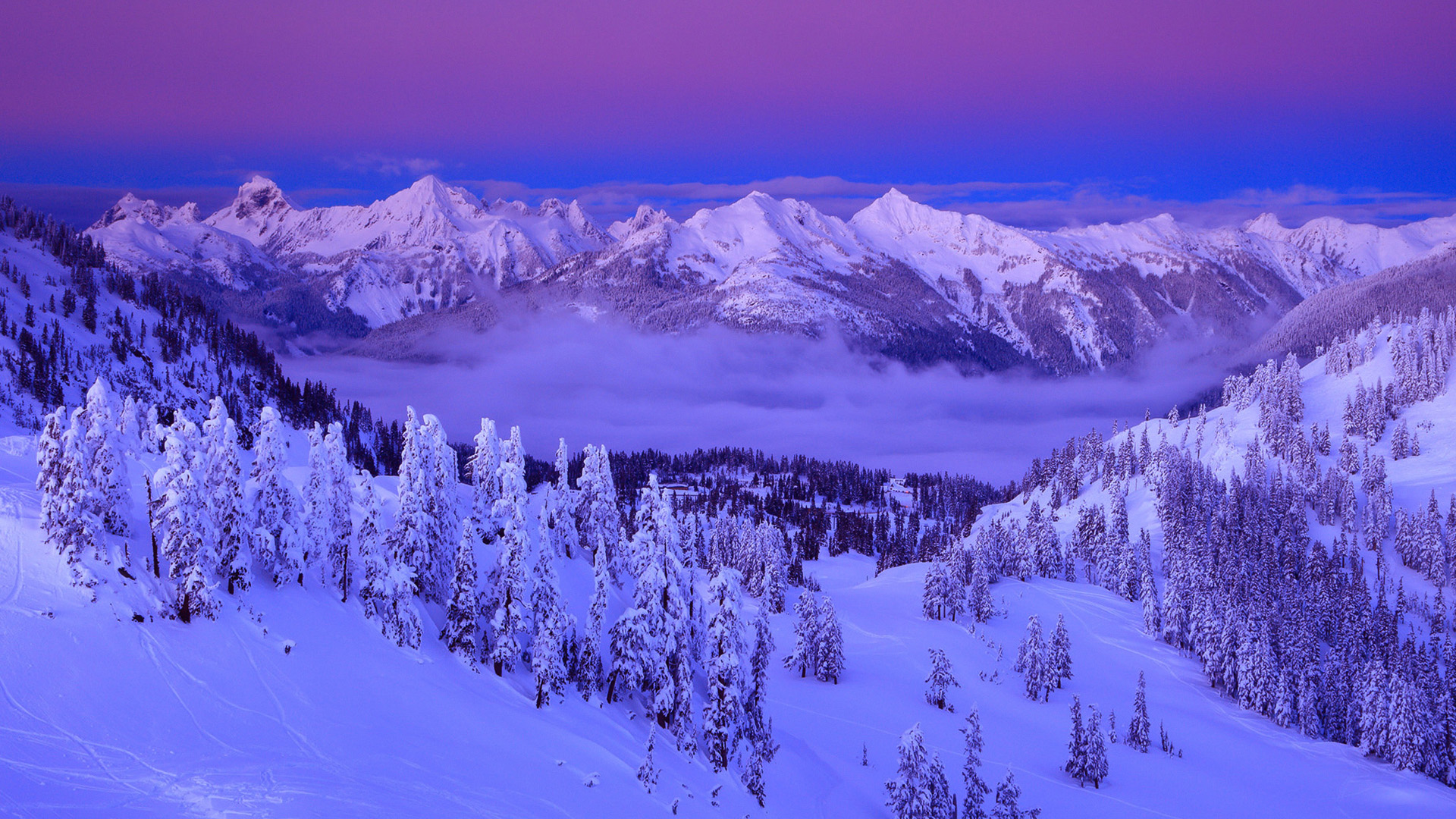 紫色的云,雪,冬天,山,树林,天空,自然风景桌面高清壁纸