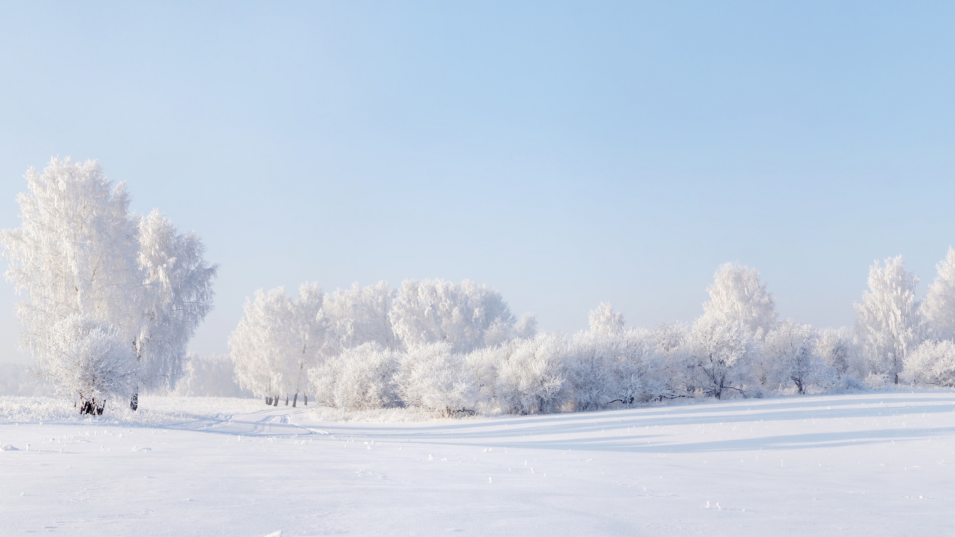 冬天的雪,天空,树木,全景风景桌面高清壁纸