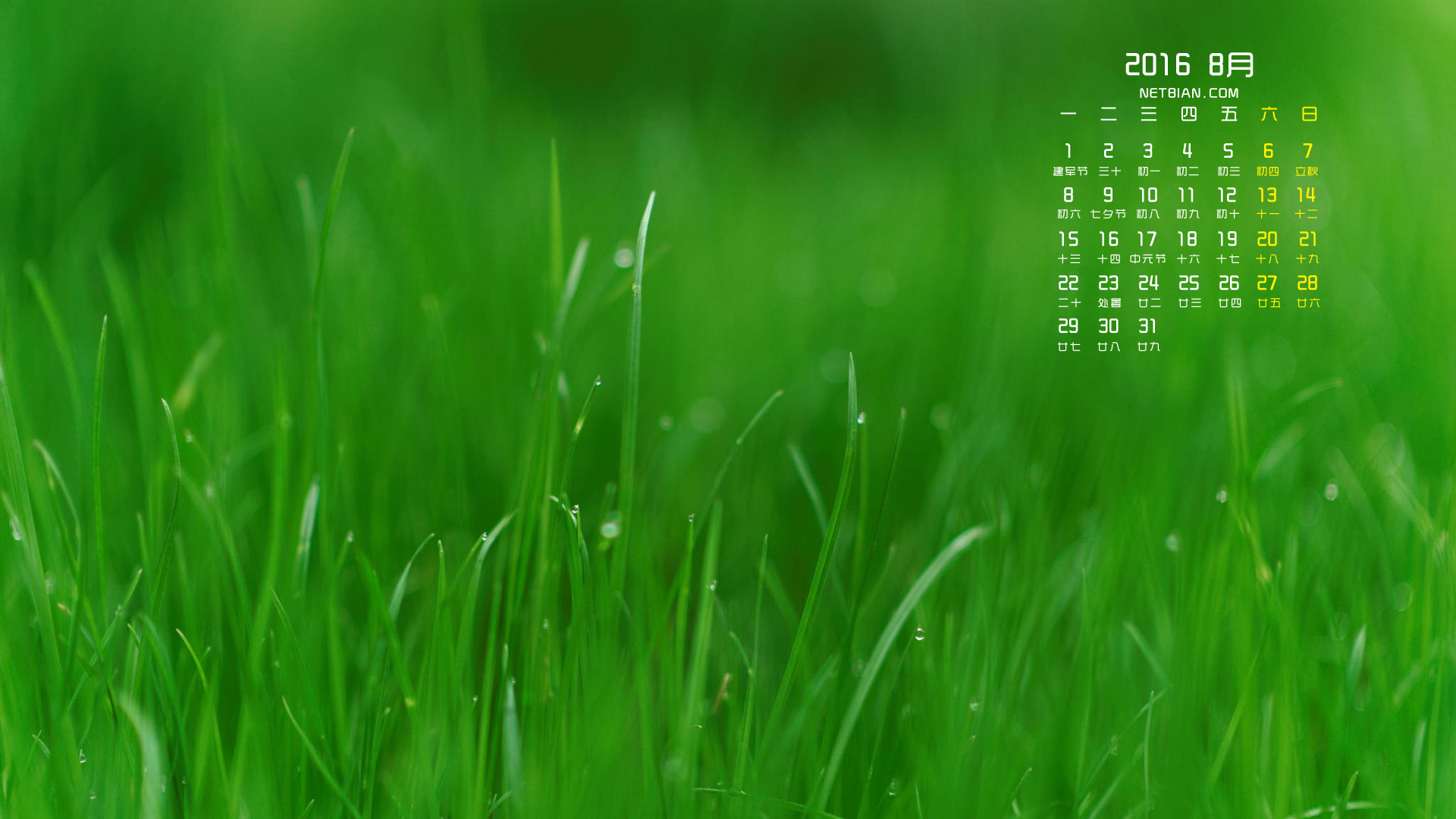 绿草地2016年8月日历桌面高清壁纸护眼