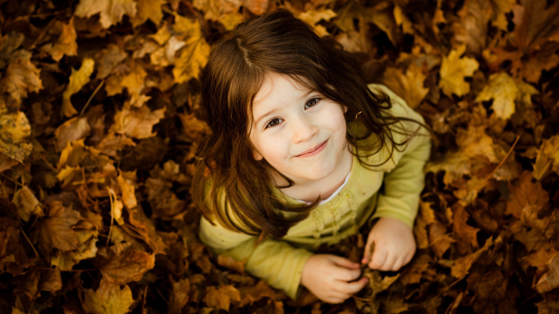 可爱的女孩,秋天,树叶,桌面高清壁纸