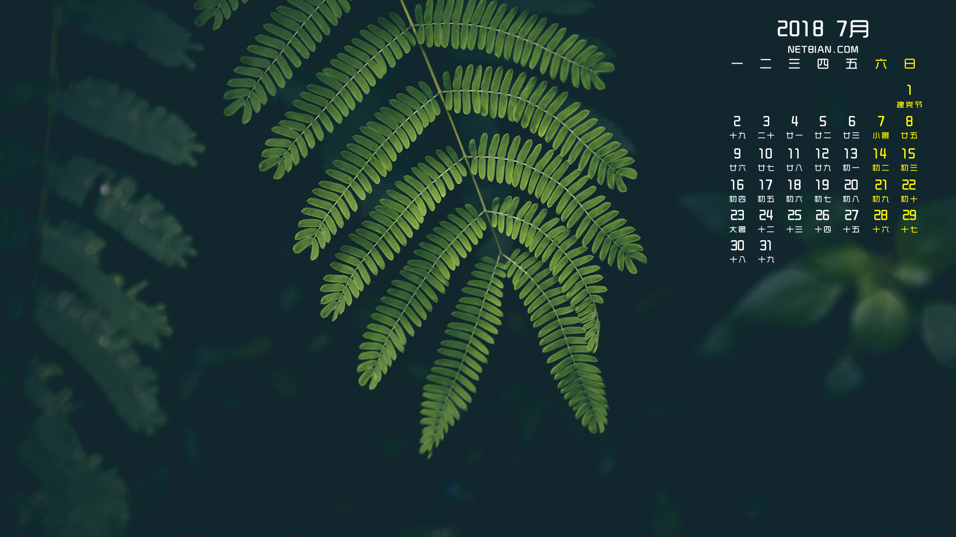 绿色蕨叶植物2018年7月日历桌面高清壁纸