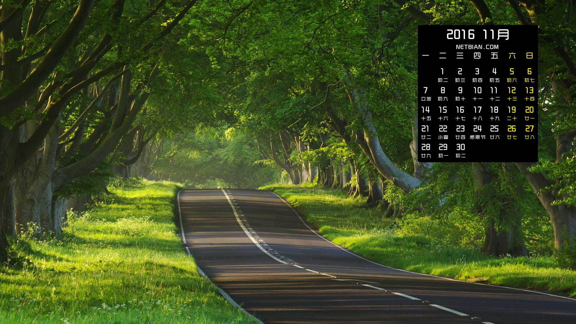 树林公路风景2016年11月日历桌面高清壁纸