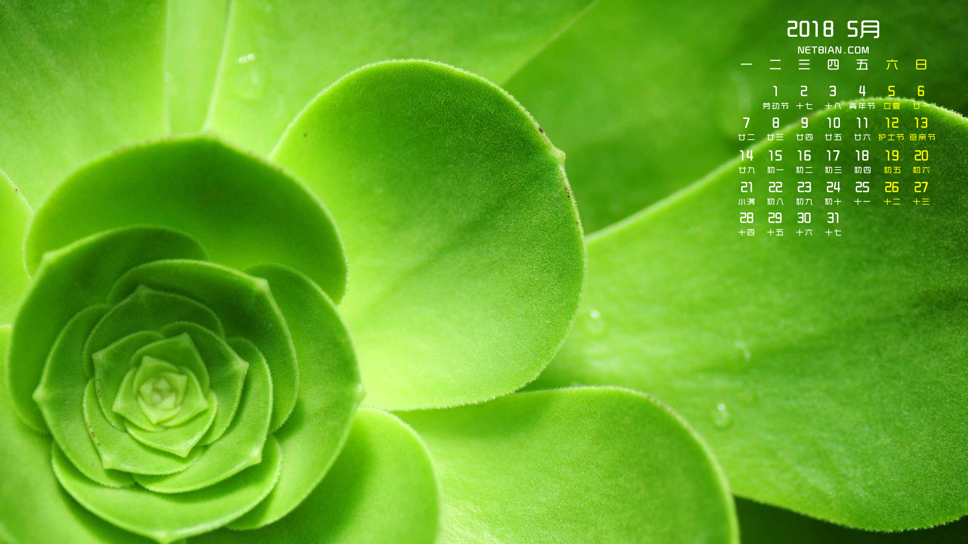 绿色植物2018年5月日历桌面高清壁纸护眼