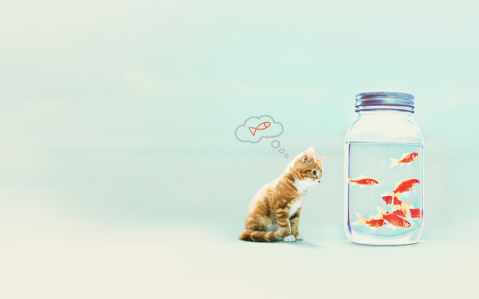 幸福就是猫吃鱼桌面背景