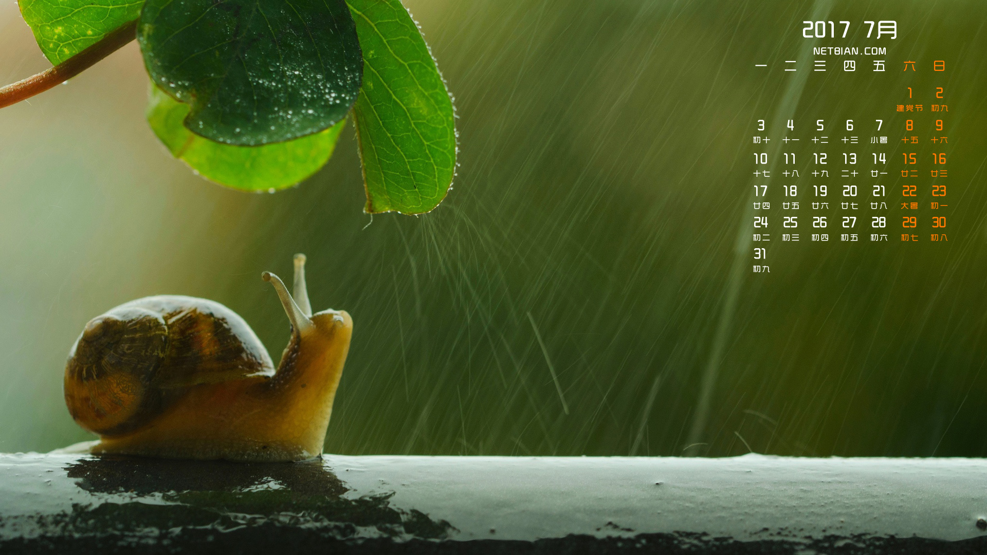 蜗牛2017年7月日历桌面高清壁纸