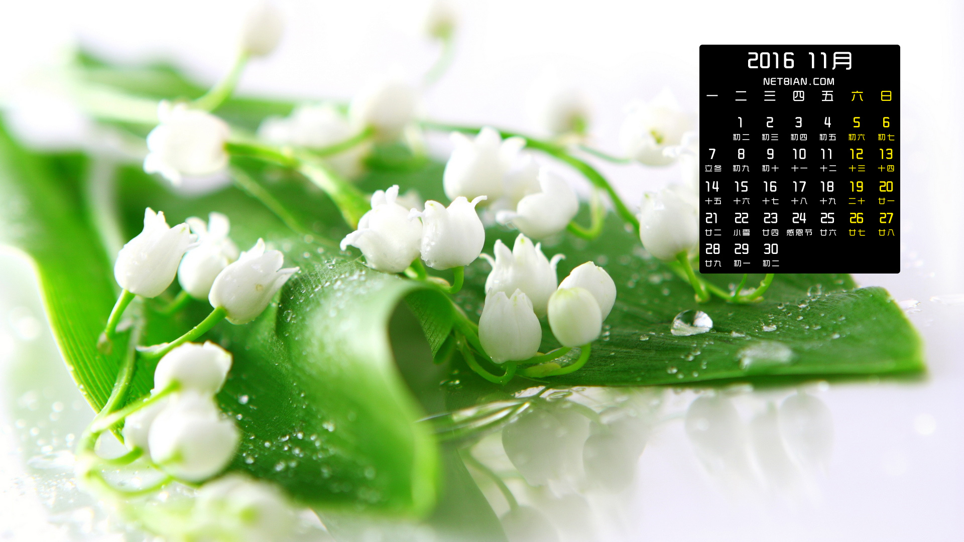 铃兰花2016年11月日历高清壁纸