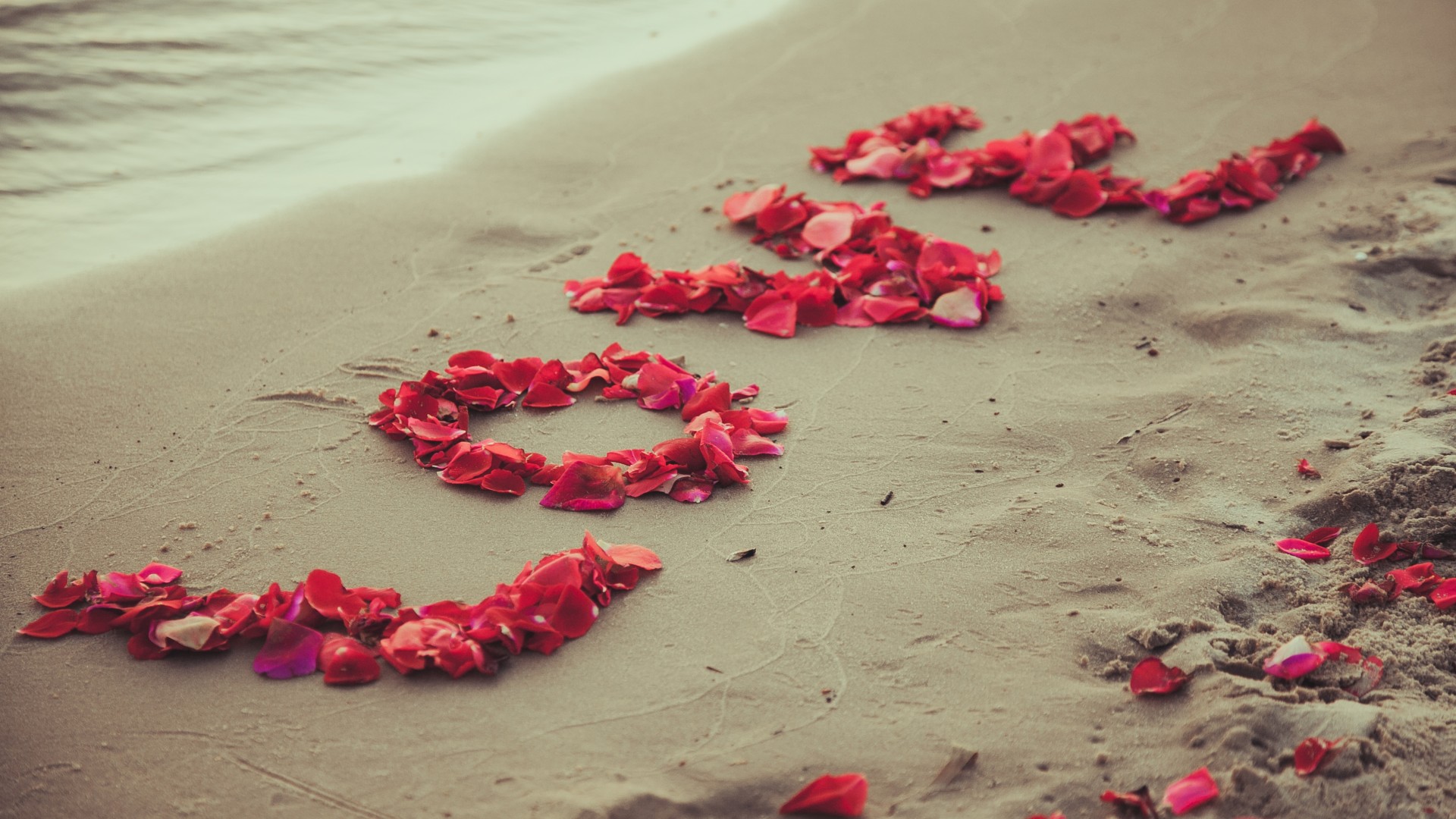 爱情，浪漫，甜蜜，花瓣，沙滩，大海，love，桌面高清壁纸