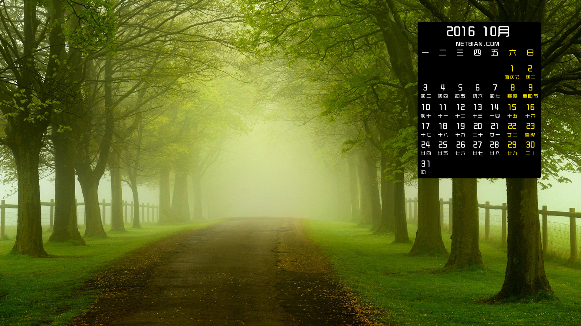 早上森林树木路风景2016年10月日历桌面高清壁纸
