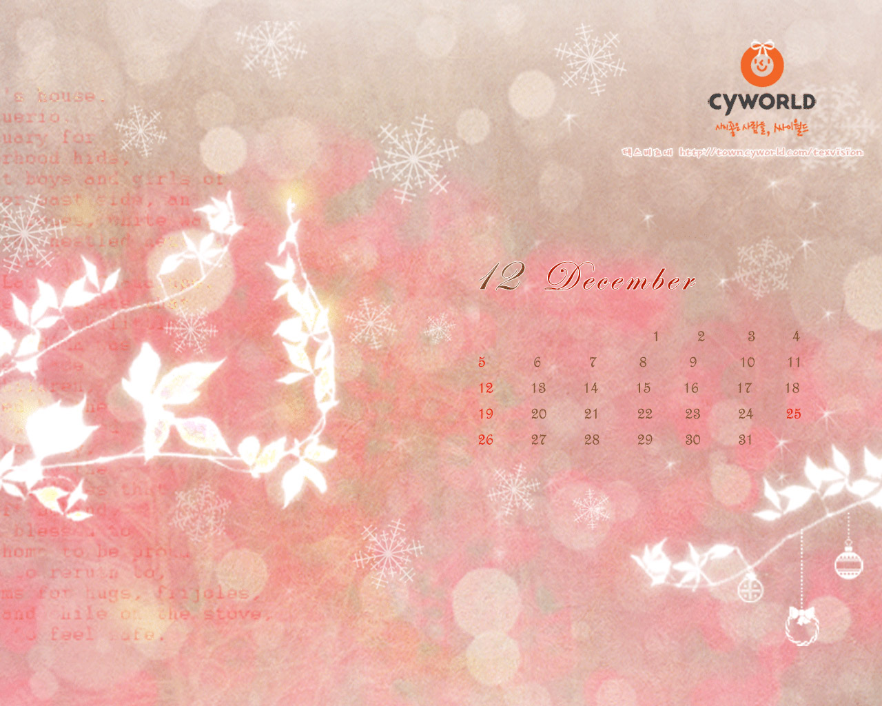 cyworld 2010年12月月历高清壁纸