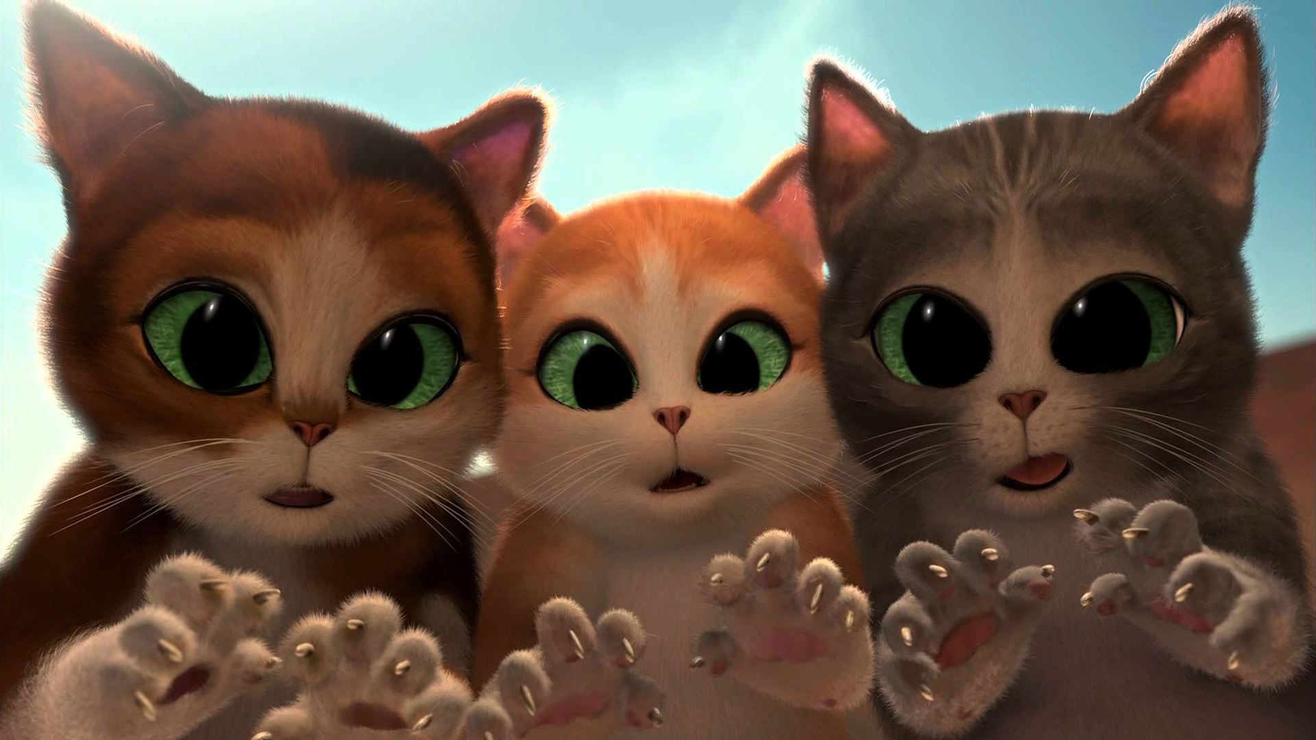 三只可爱小猫，大眼睛，瓜子，惊叹表情，萌，可爱手绘猫咪桌面高清壁纸