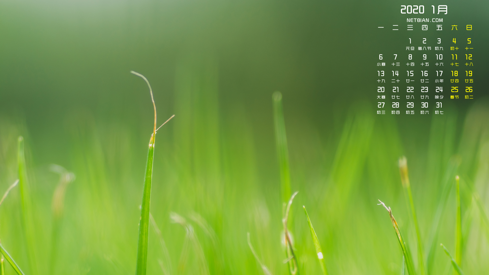 绿色植物小草2020年1月日历桌面高清壁纸护眼