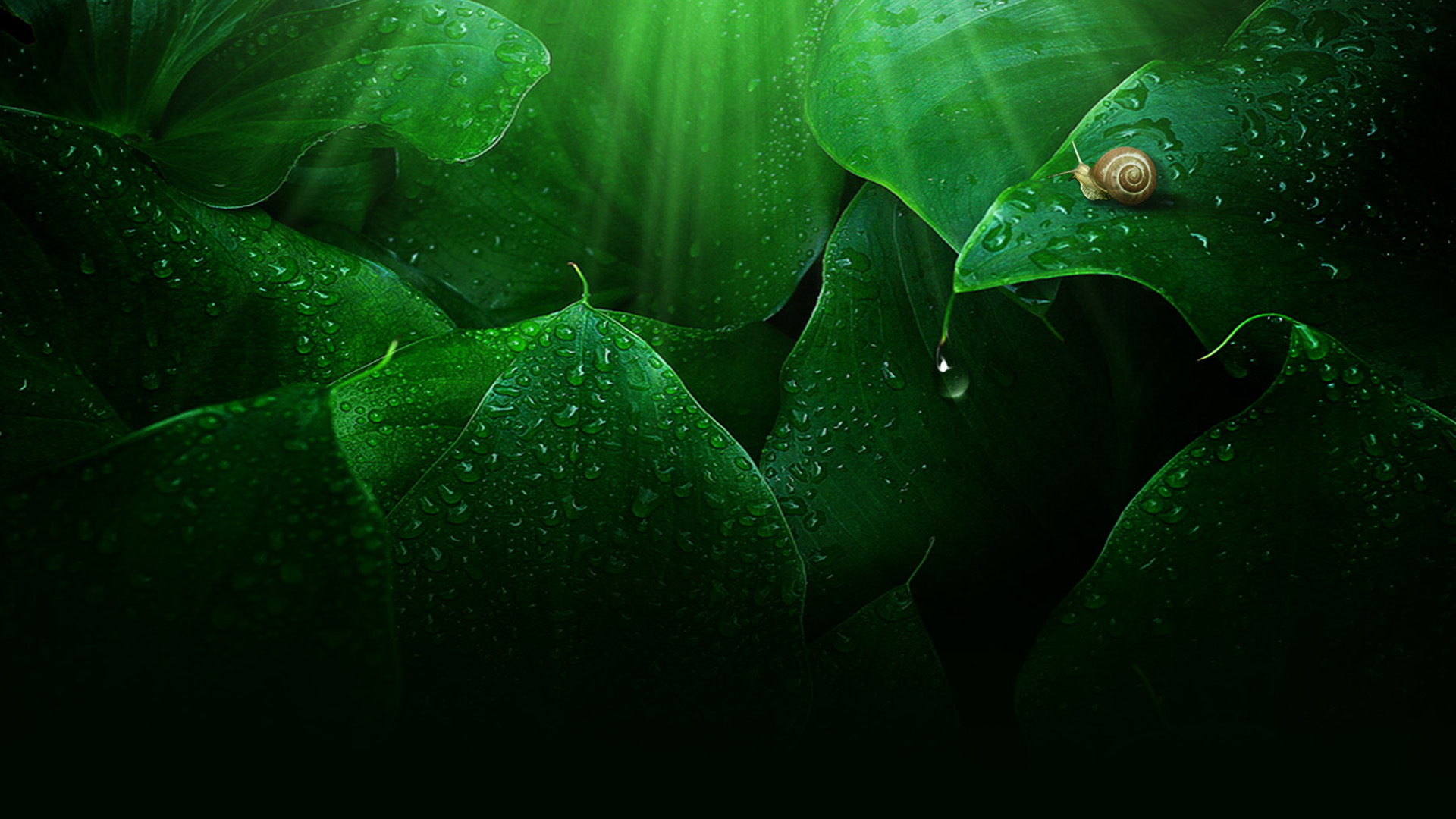 雨过天晴的风景桌面高清壁纸