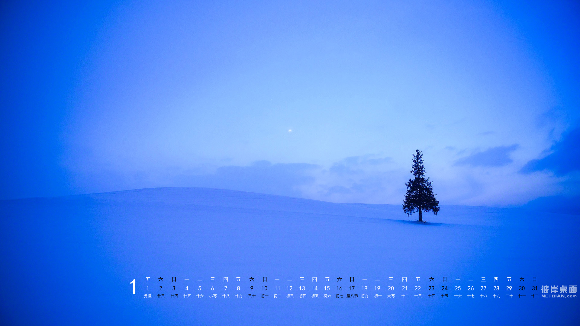 冬天一棵树风景2016年1月日历桌面高清壁纸
