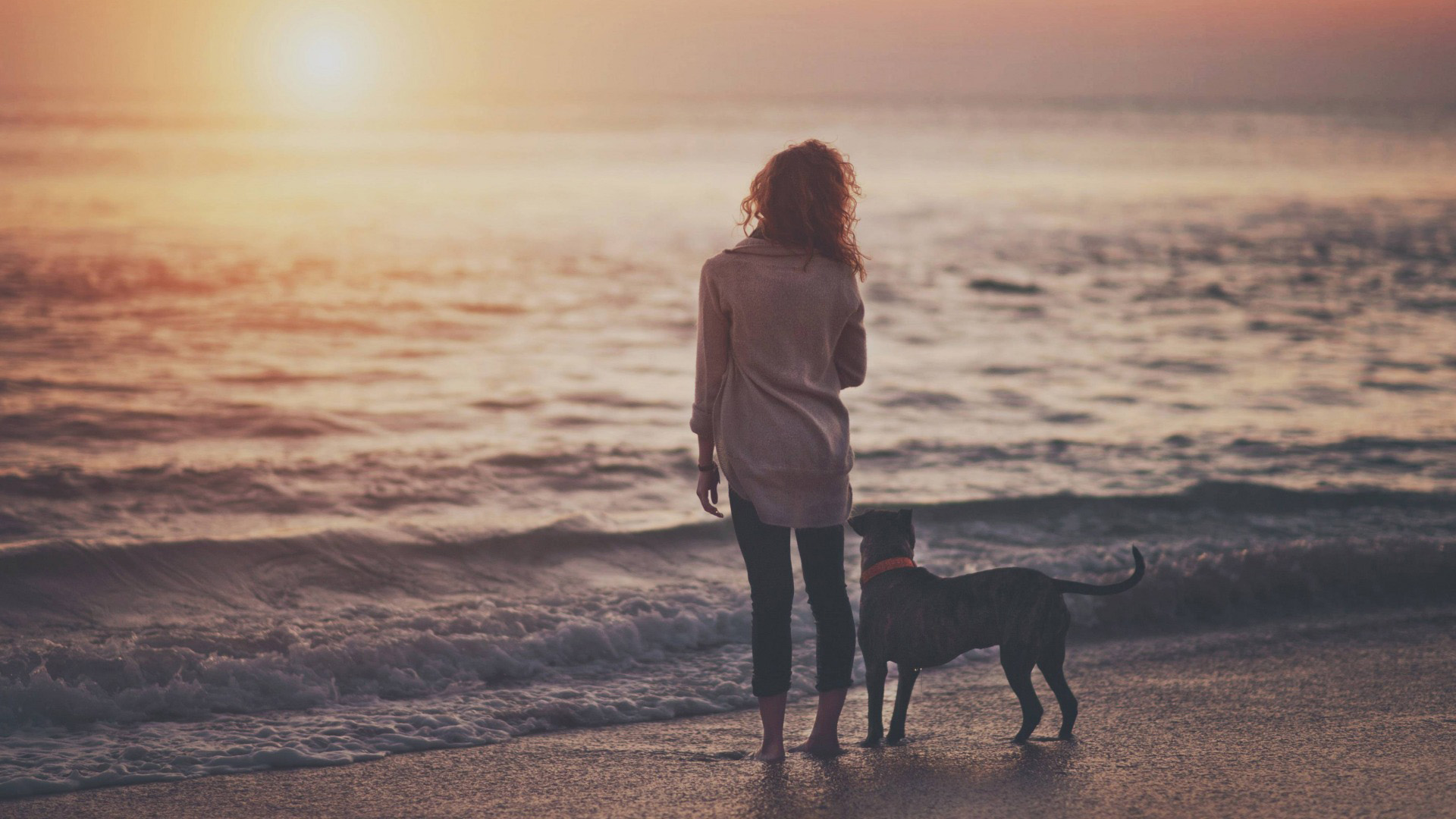 女孩,狗,海,海浪,夕阳,唯美风景高清壁纸