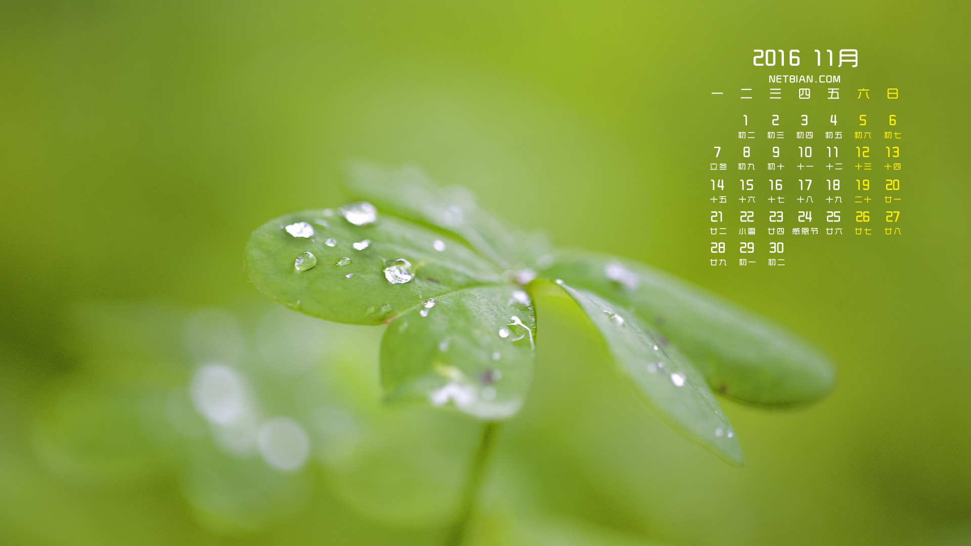 叶子露水2016年11月日历桌面高清壁纸