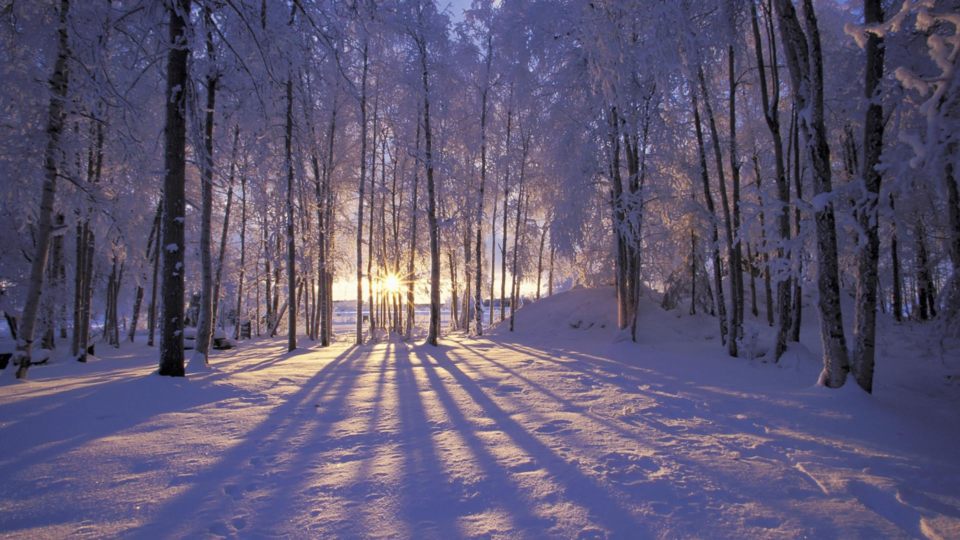 浪漫雪景电脑高清壁纸